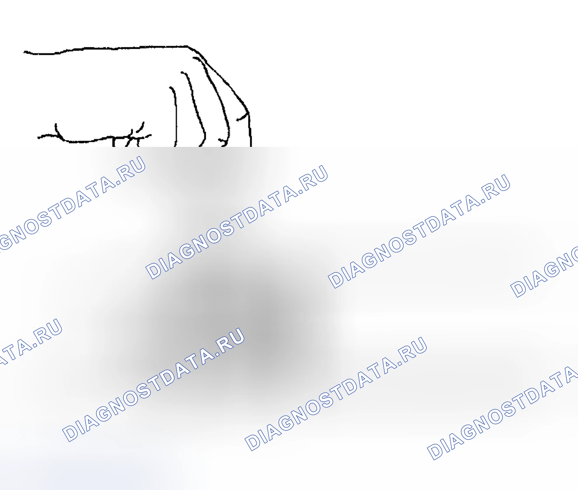 Рис. 21. Chevrolet TrailBlazer I