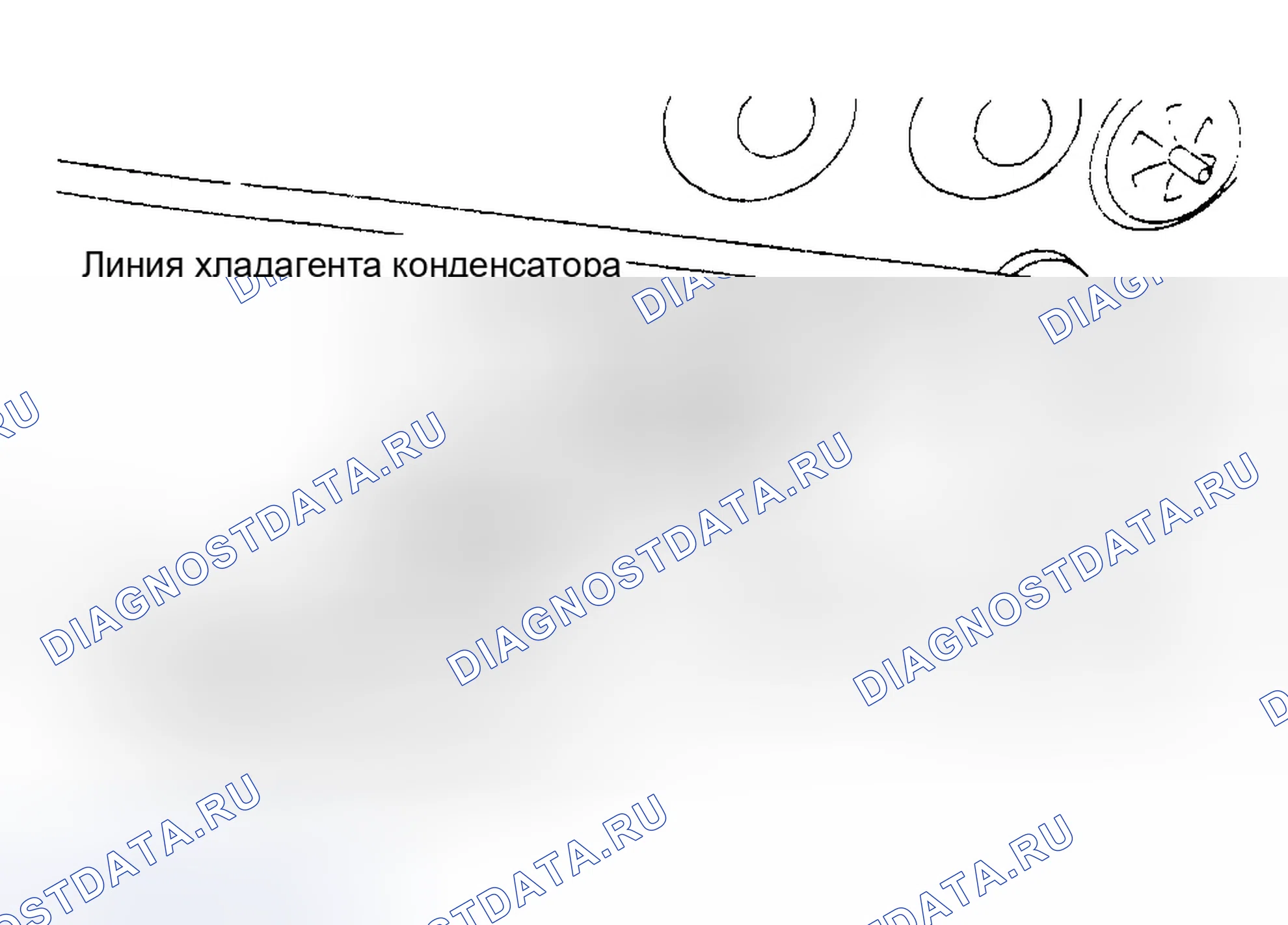 Рис. 77. Ford Focus I рестайлинг