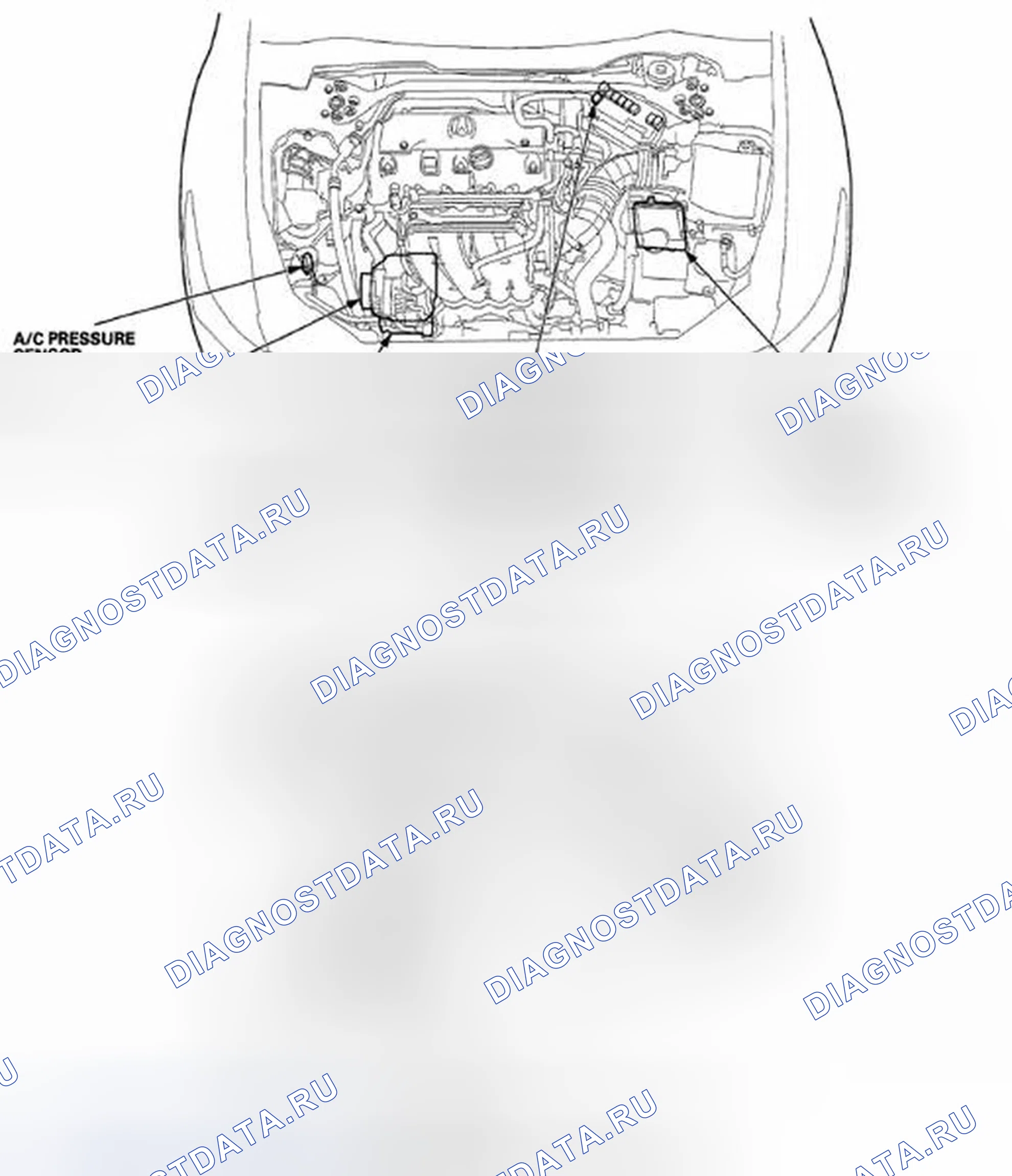 Рис. 527: Указатель расположения компонентов. Acura TSX II