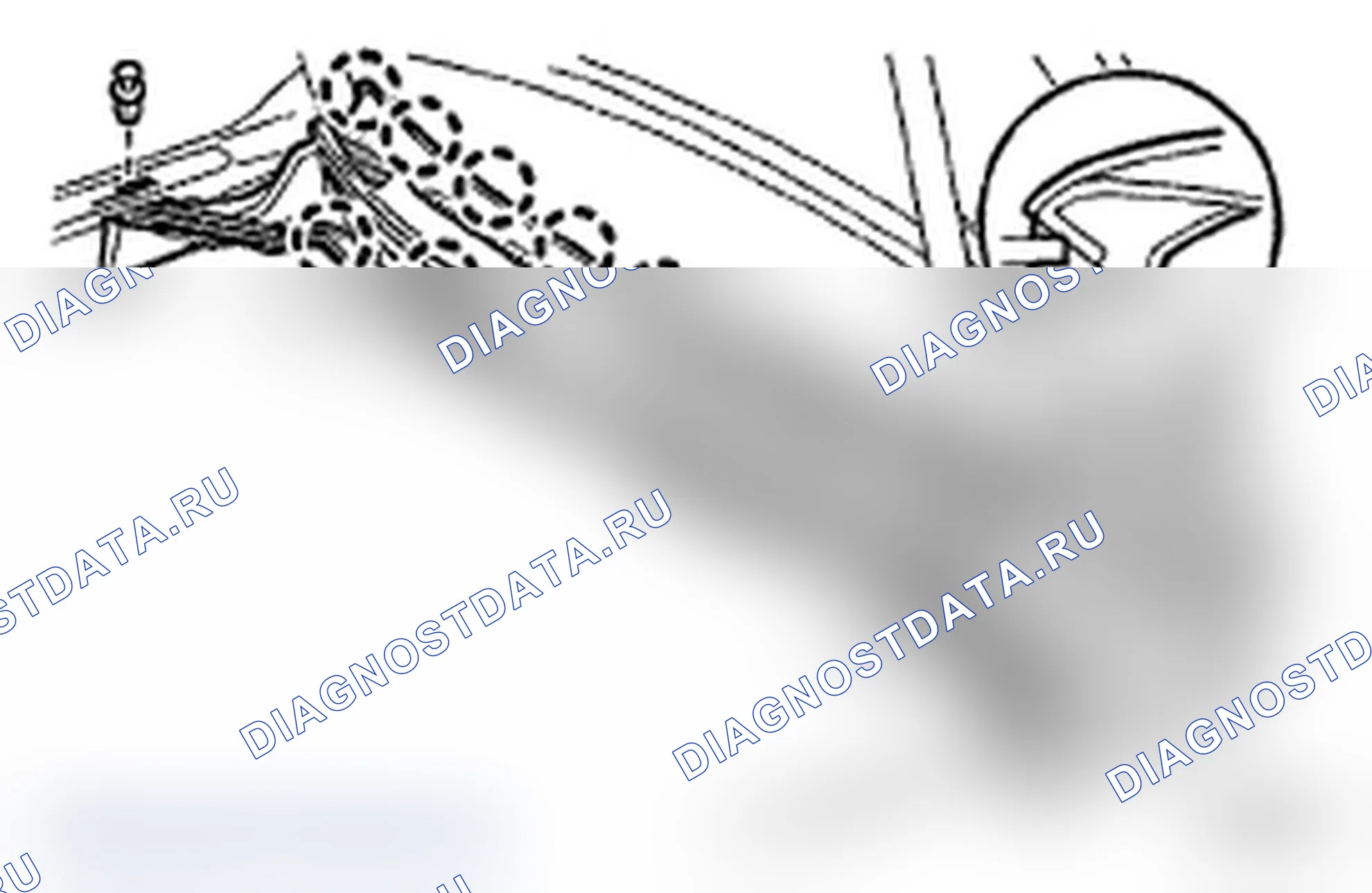 Рис. 18. Toyota Land Cruiser 200