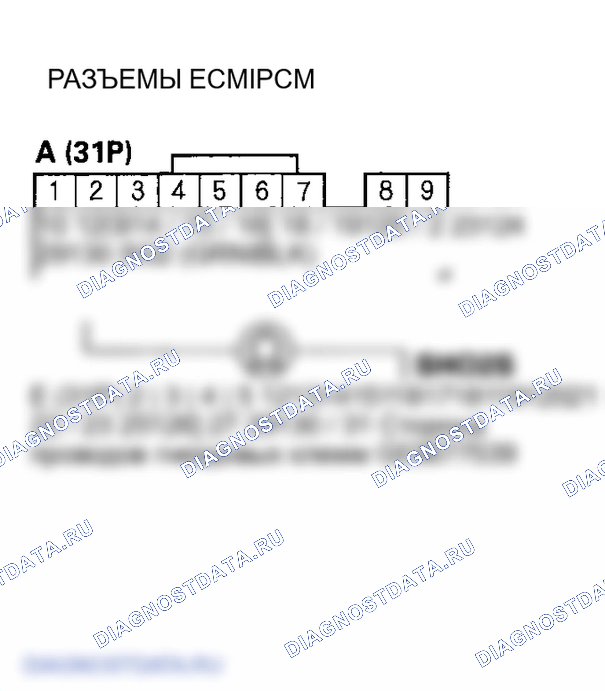 Рис. 104. Honda Element YH2