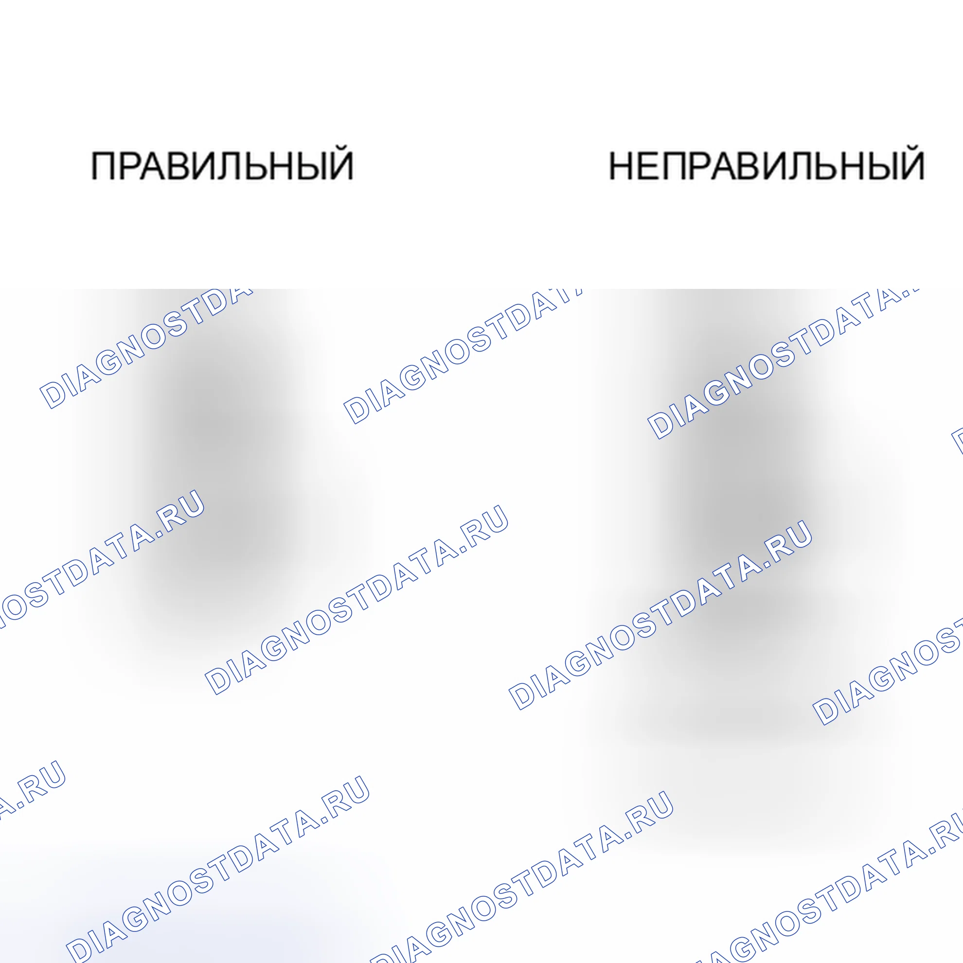 Рис. 455: ПОРЯДОК ВЫПОЛНЕНИЯ РАБОТ. Haval Xiaolong I