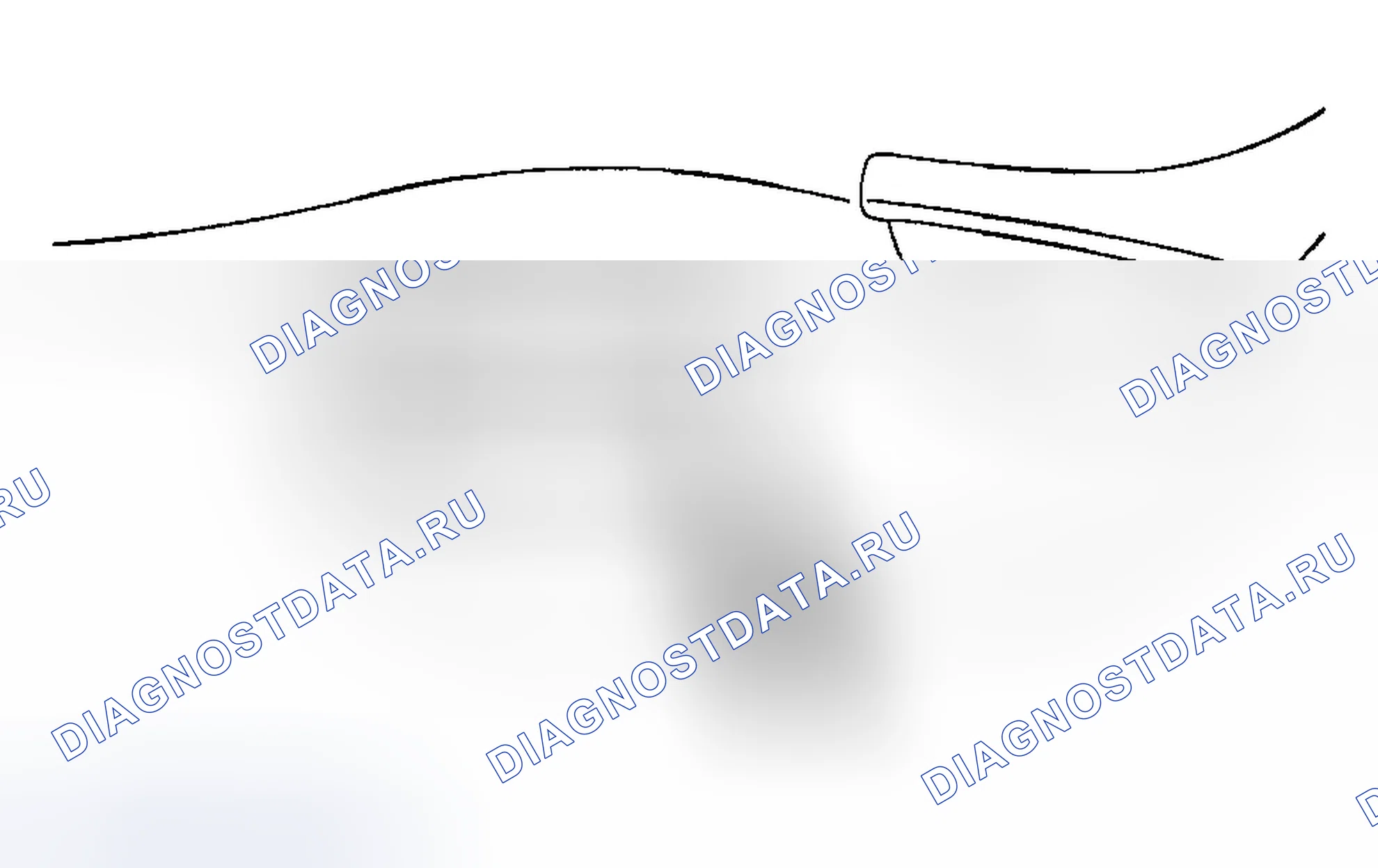 Рис. 1. Ford Escape I