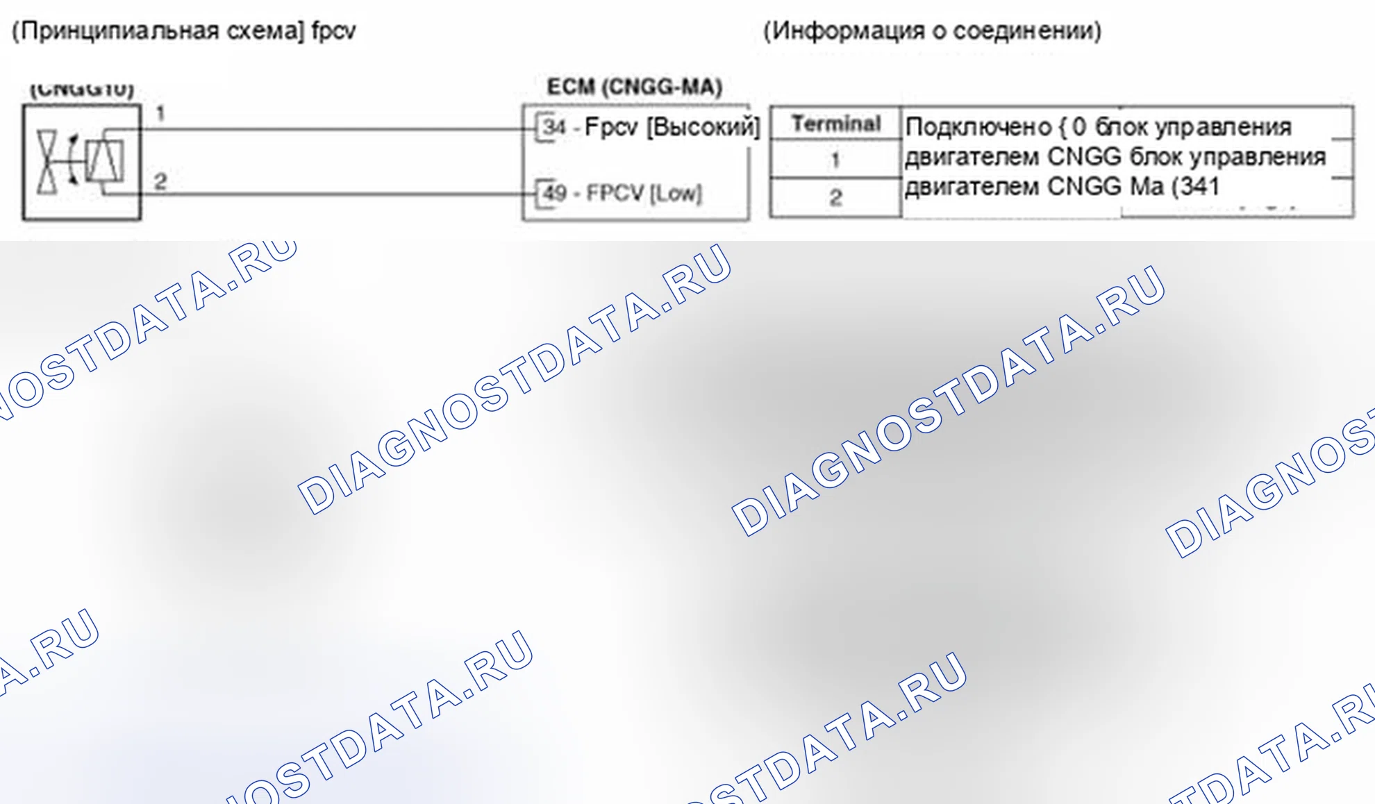 Рис. 234: (M / T). Hyundai Veloster I