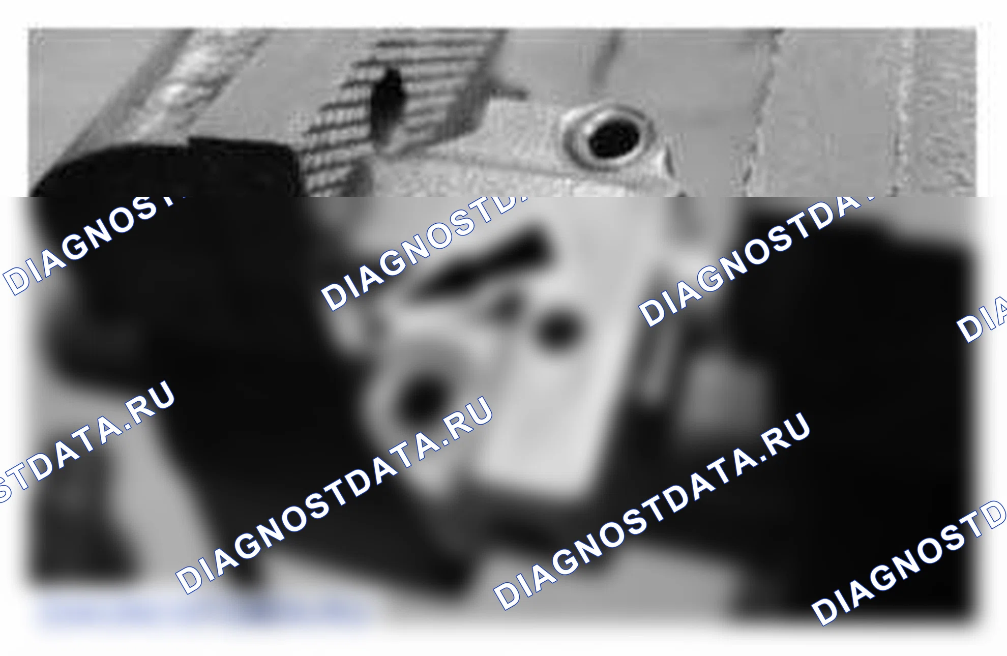Рис. 1138. Ford Mustang V рестайлинг