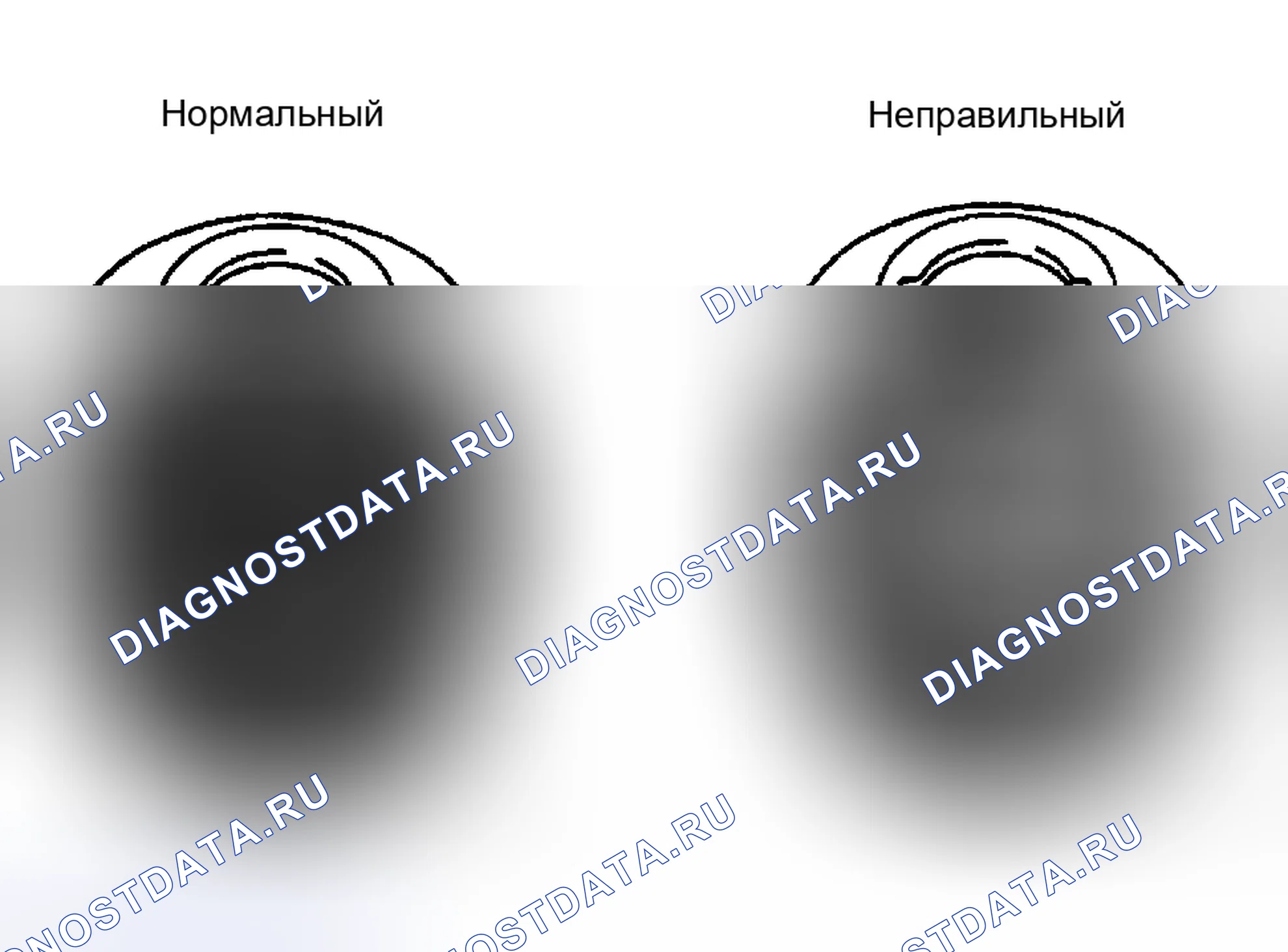 Рис. 47. Honda Accord XI