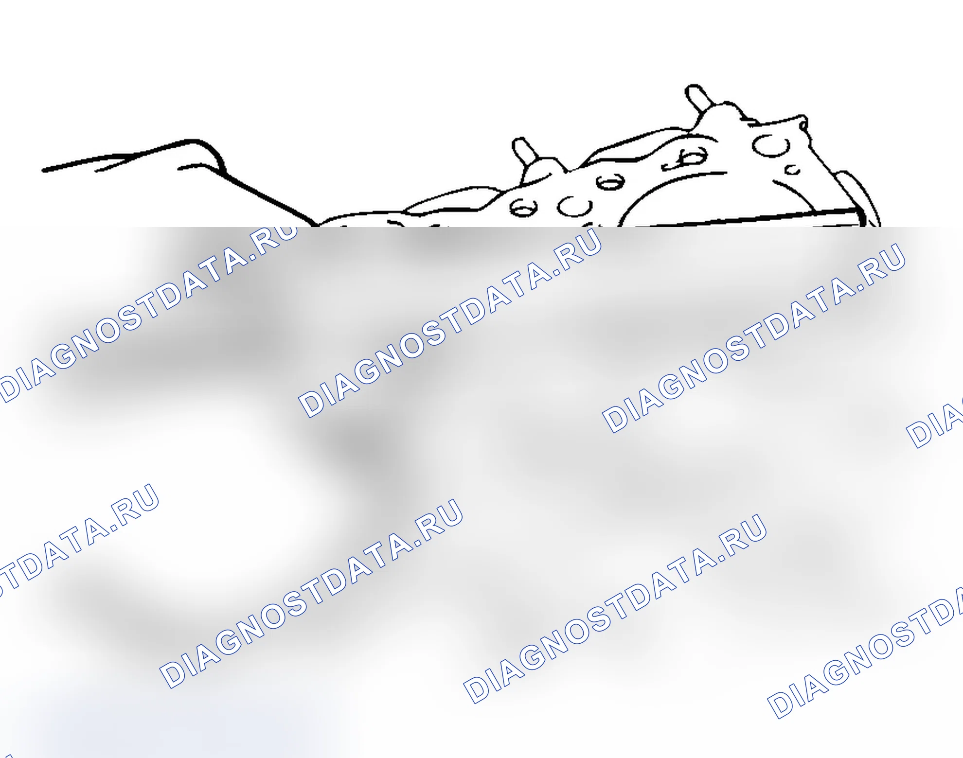 Рис. 831: ГОЛОВКА ЦИЛИНДРА. Mitsubishi Lancer Evolution IX