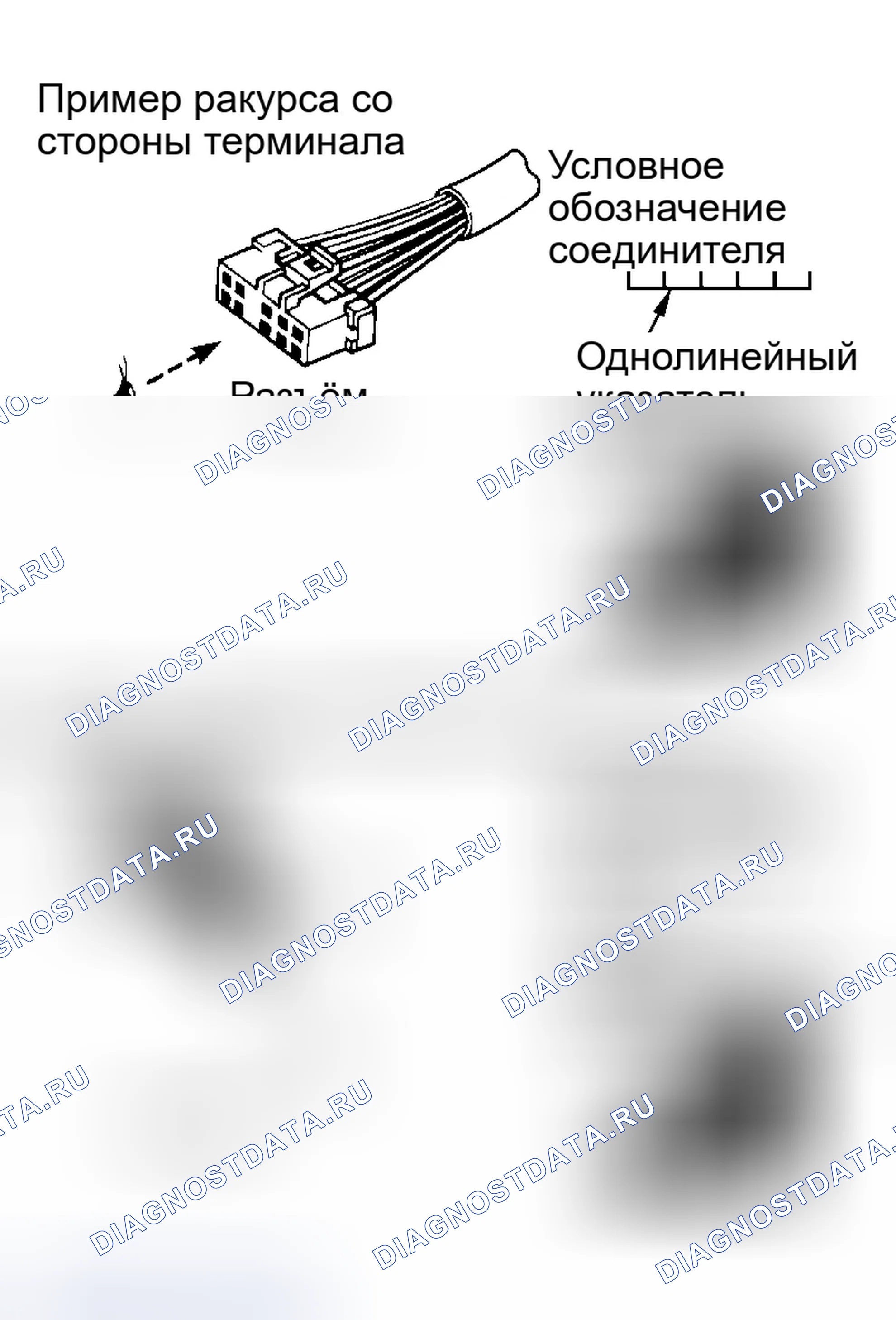 Рис. 195: ОБОЗНАЧЕНИЯ РАЗЪЕМОВ. Infiniti G35 III