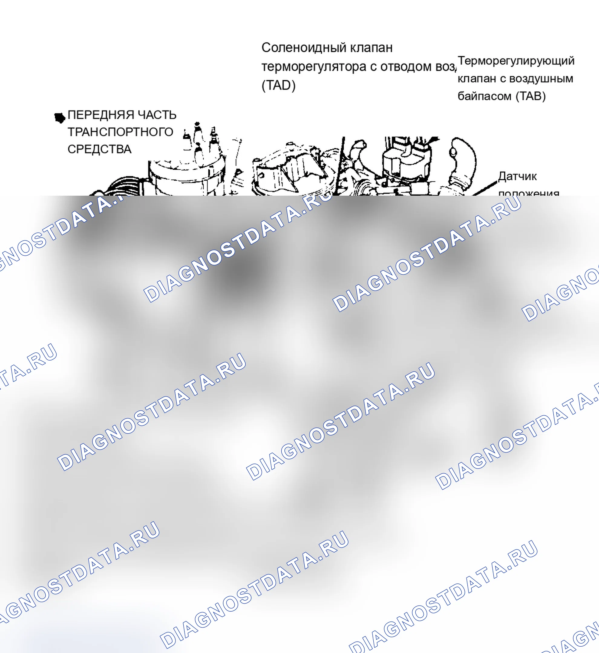 Рис. 4: Расположение компонентов (4 из 6). Ford Club Wagon E350 