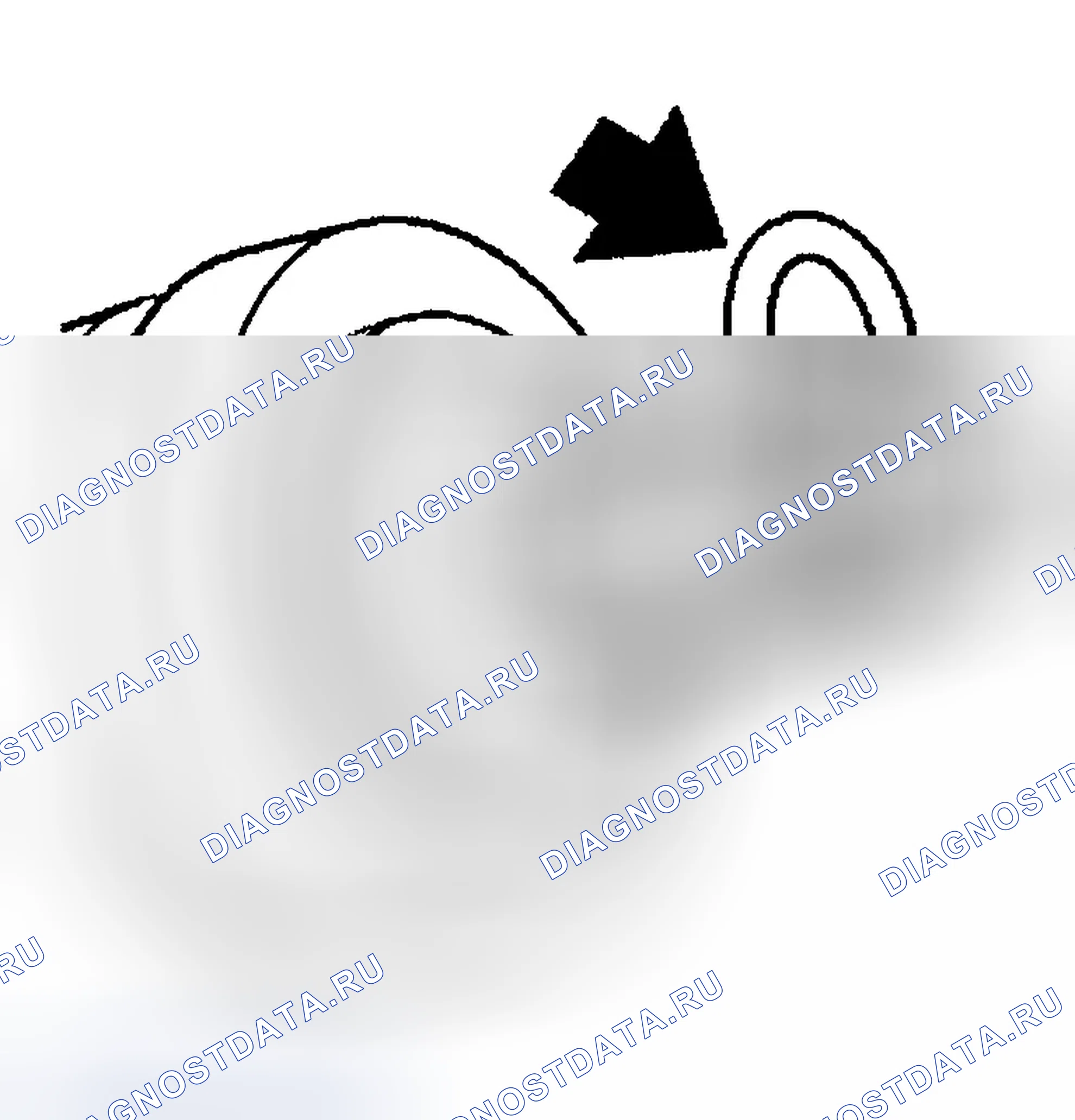 Рис. 11. BMW X3 E83
