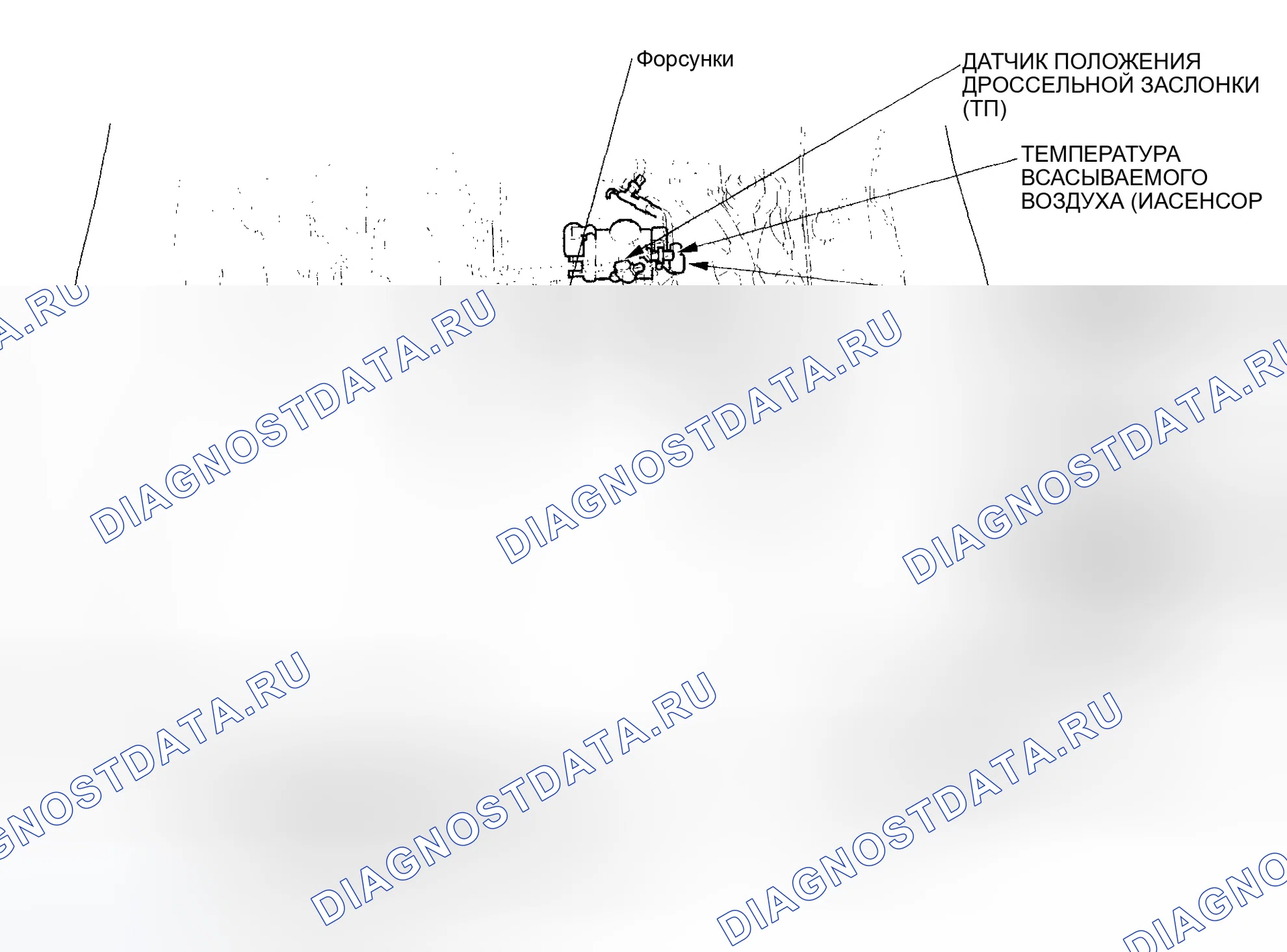 Рис. 1: Указатель расположения компонентов. Honda Civic VII