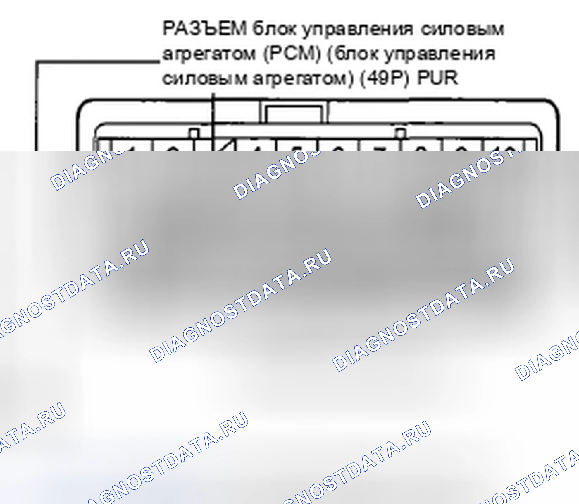 Рис. 32. Honda Accord VIII рестайлинг