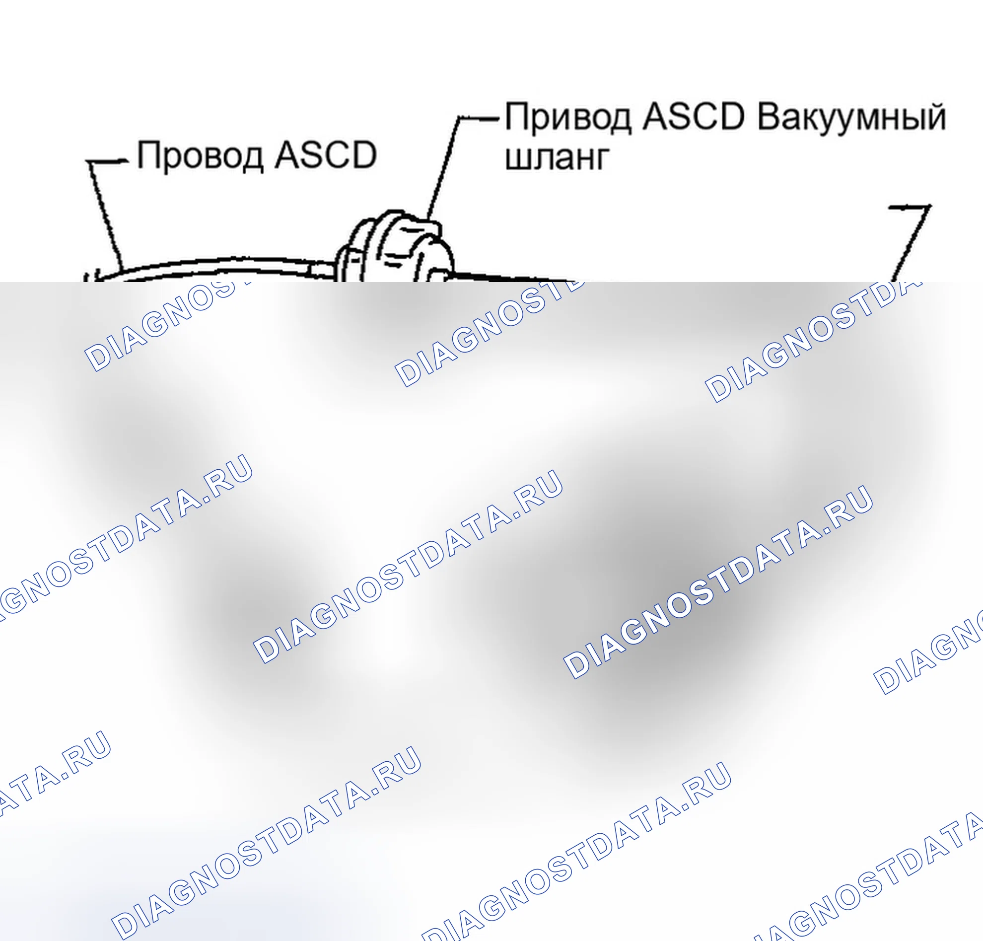 Рис. 173: ВАКУУМНЫЙ ШЛАНГ. Infiniti M45 II