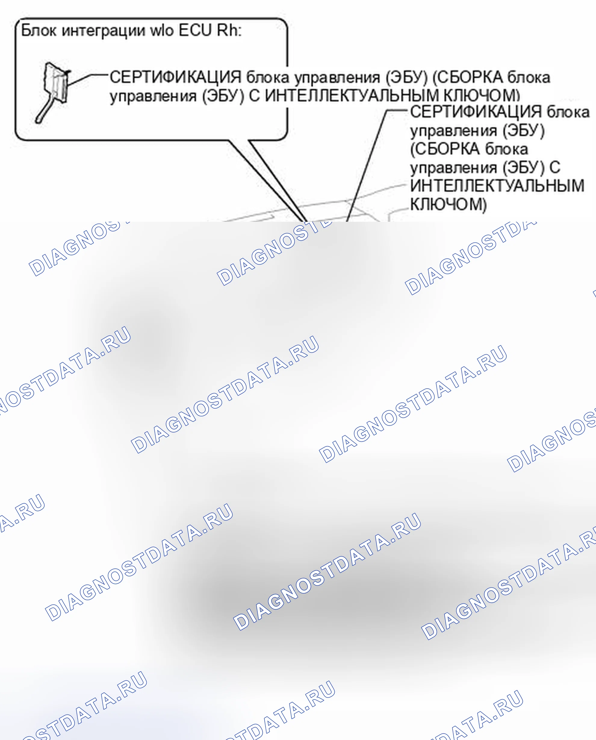Рис. 245: ИЛЛЮСТРАЦИЯ. Toyota Avalon XX40