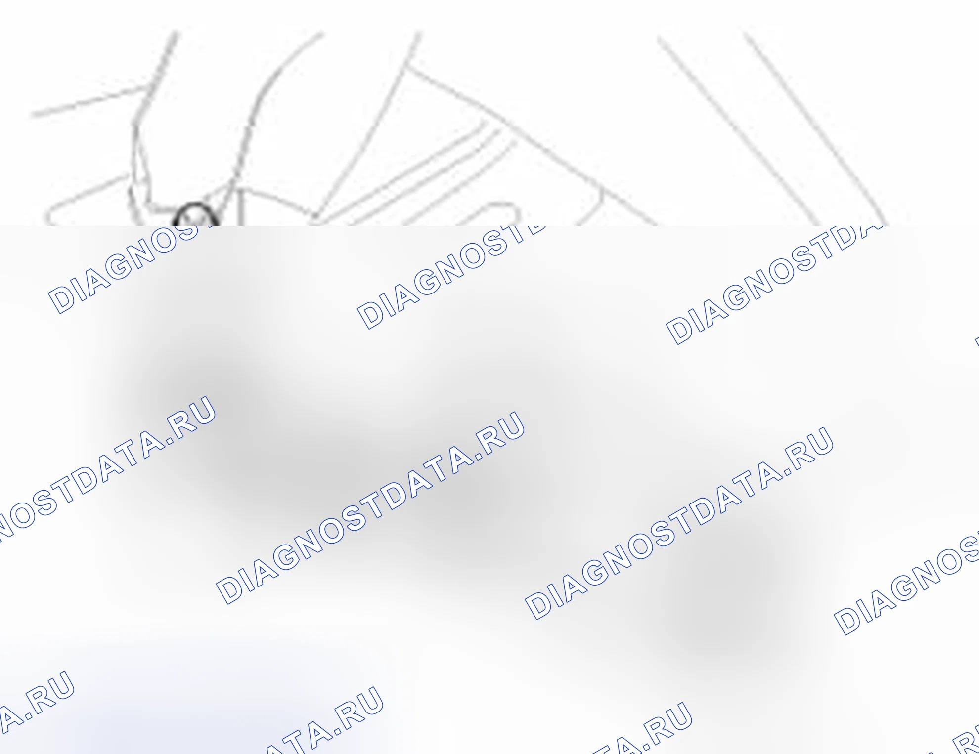 Рис. 110. Haval Beast (Shenshou) I
