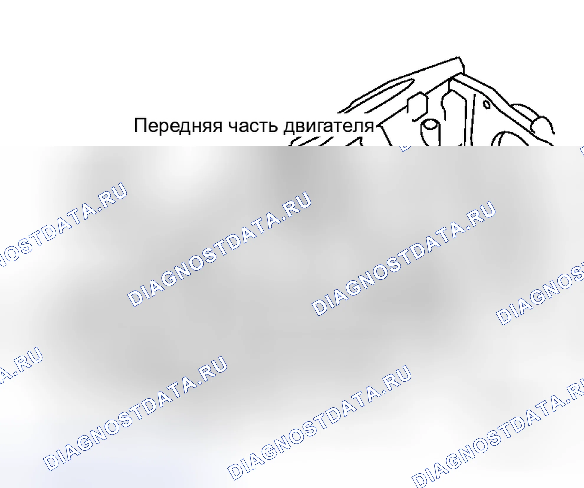 Рис. 155. Honda Torneo I