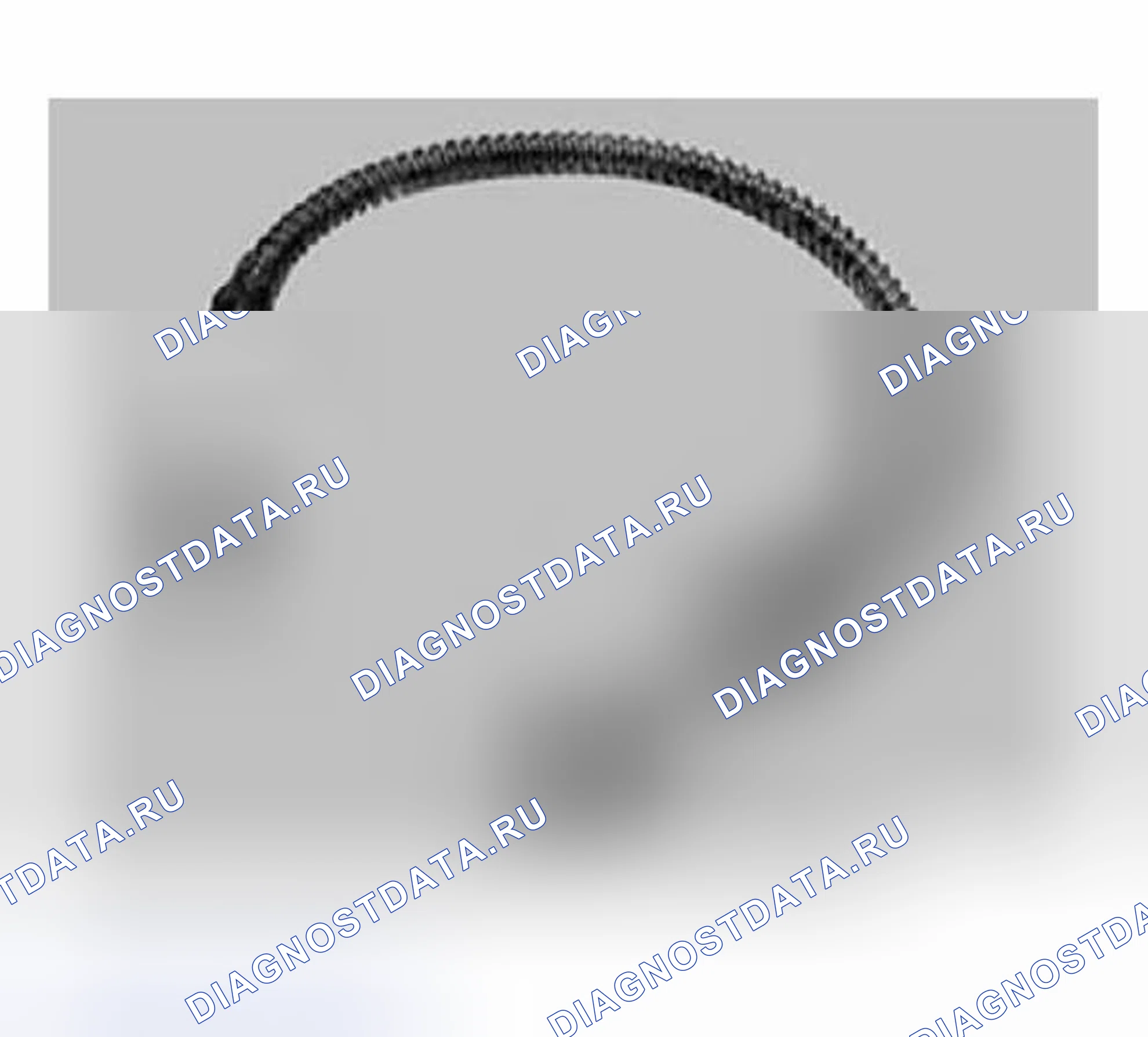 Рис. 567: E65/E66 CIP-программирование. BMW Z8 E52