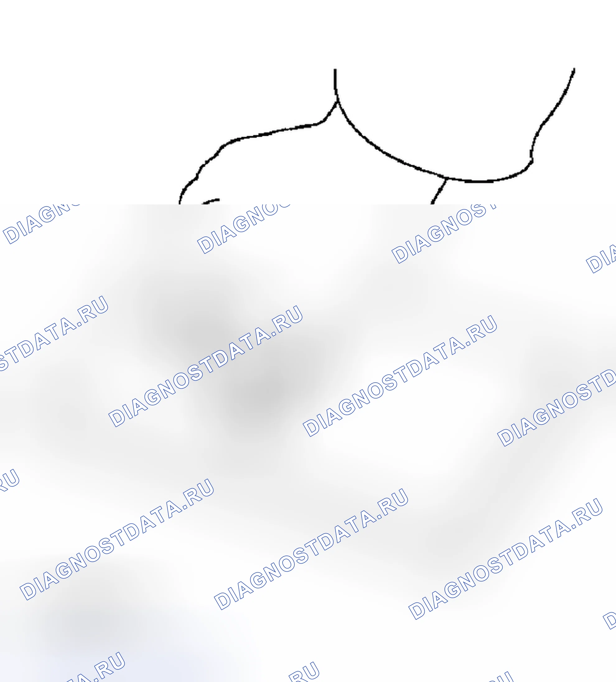 Рис. 429. Subaru Outback BP