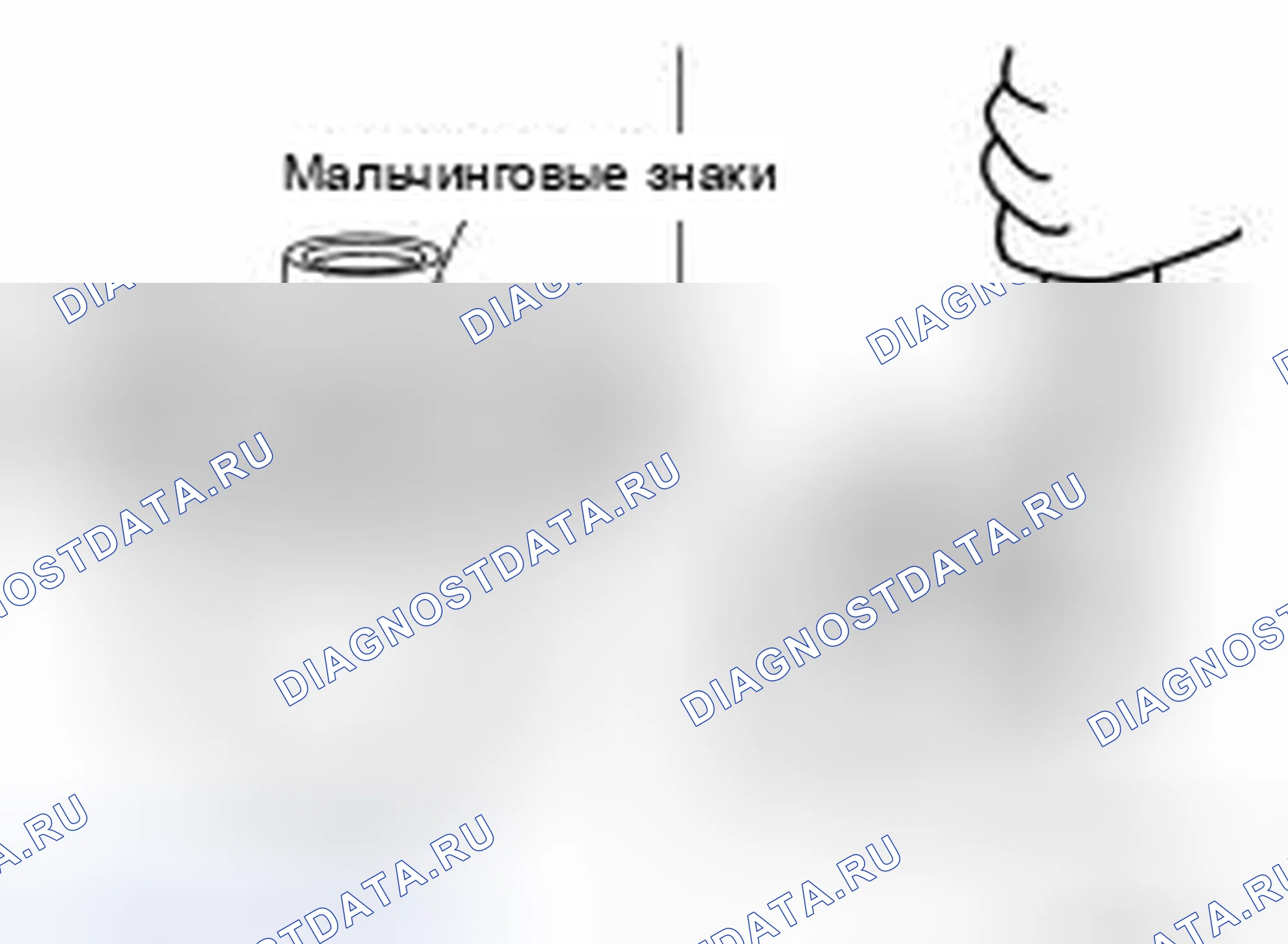 Рис. 143. Honda MDX I