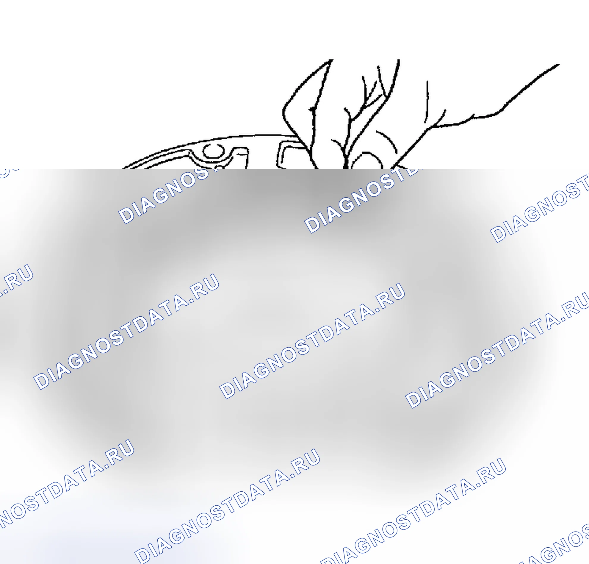 Рис. 582. Honda Odyssey (North America) I