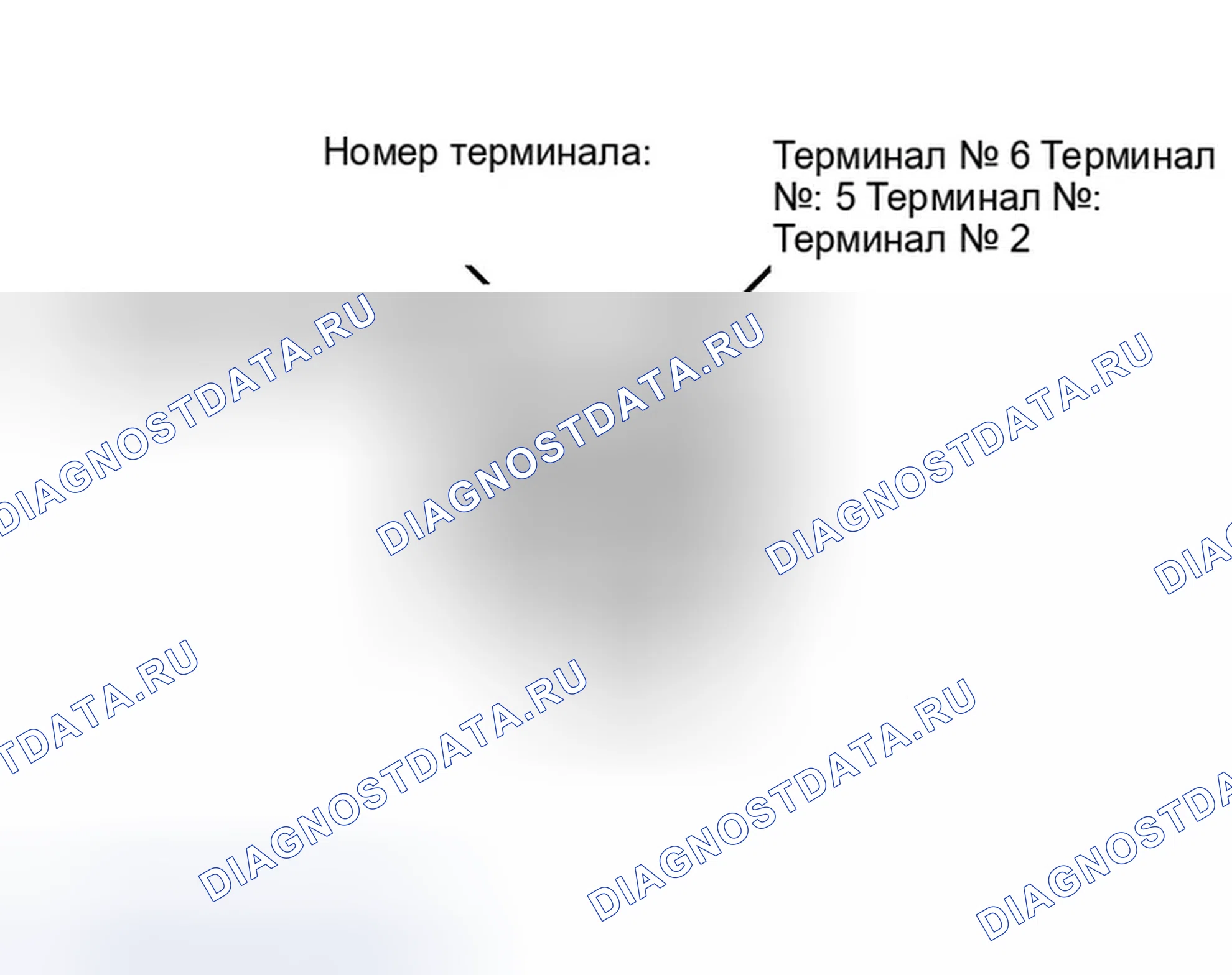 Рис. 46. Honda Passport II