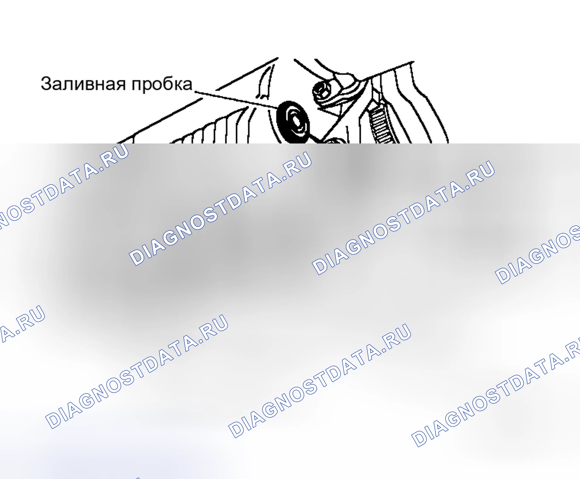 Рис. 15: ЗАПОЛНЕНИЕ. Honda Lagreat I