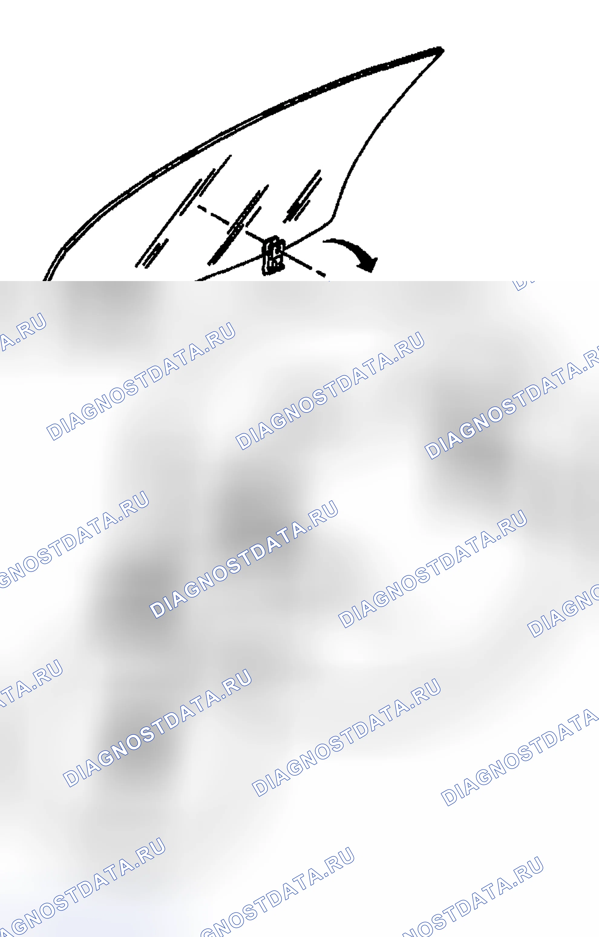 Рис. 108. Kia Ceed CD