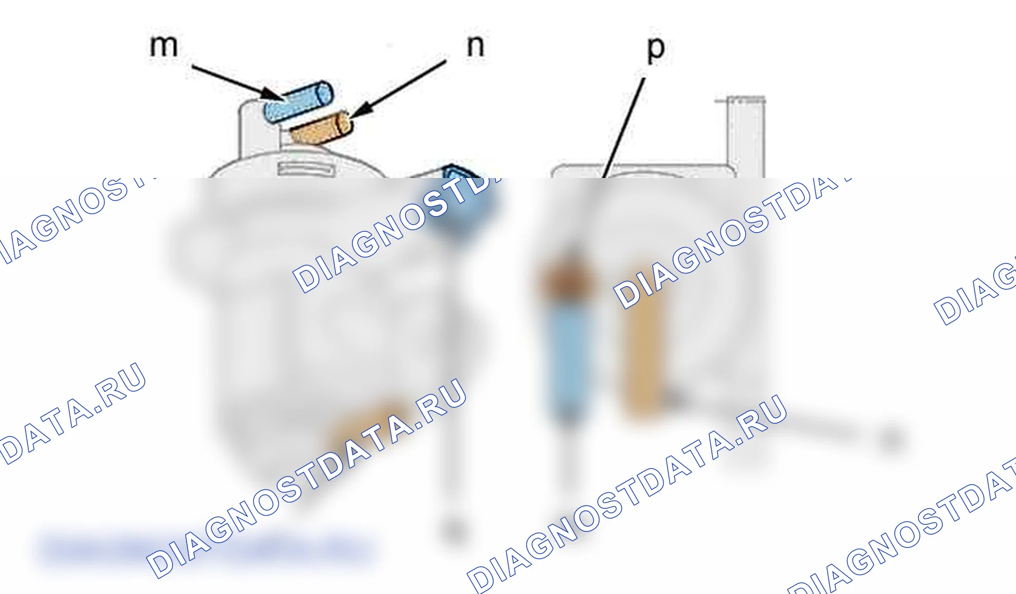 Функция: система питания воздухом (DELPHI dcm 3.4) — b1hp2qmd. Citroen C4 I