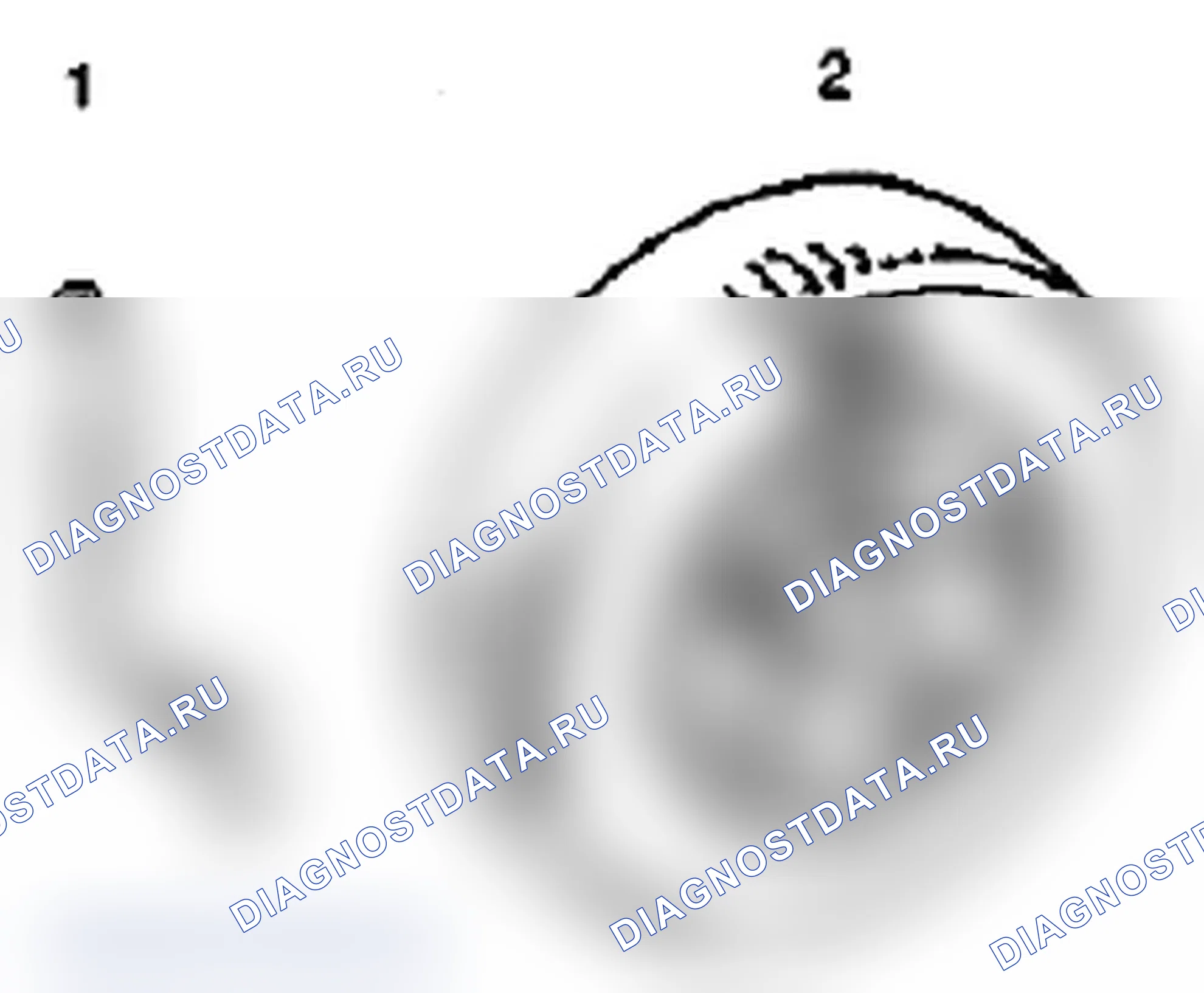Рис. 44. Suzuki Grand Vitara II рестайлинг