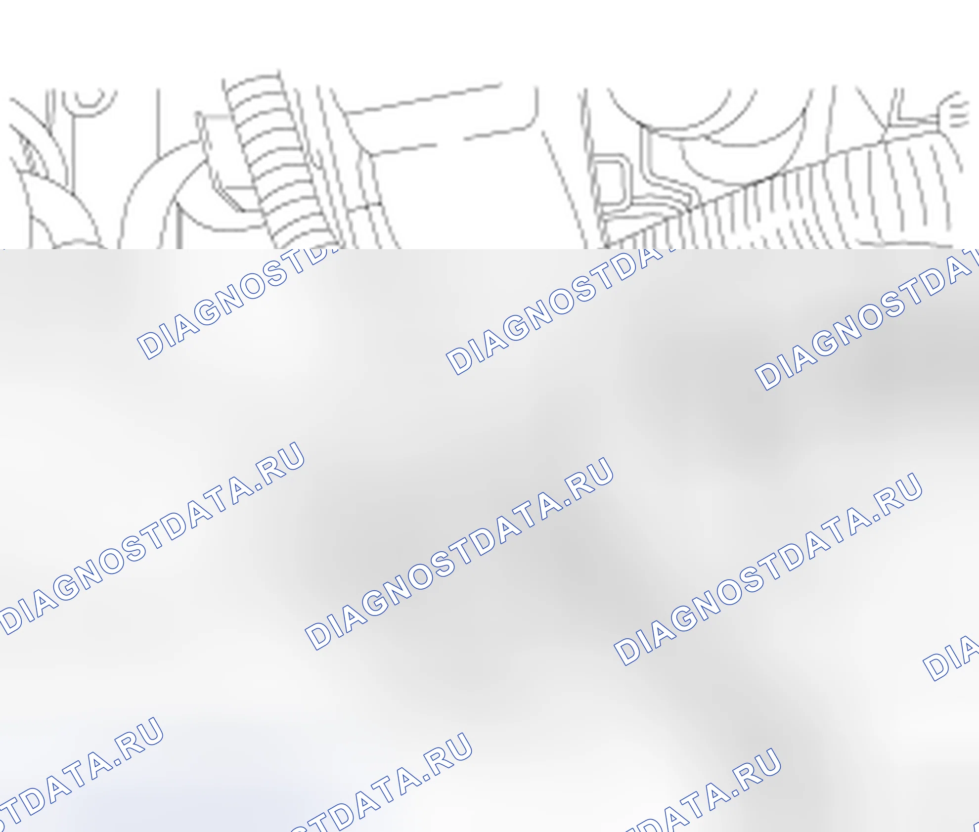 Рис. 239. Chrysler Town & Country V