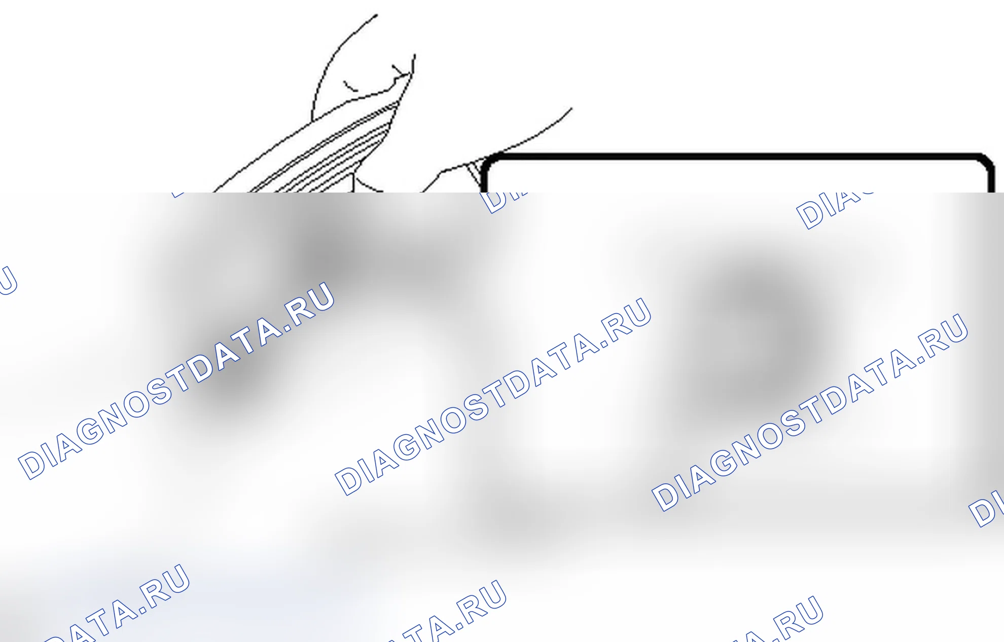 Рис. 429. Lexus IS F I