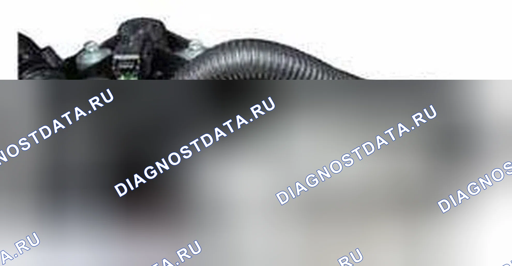 Рис. 251. Ford Edge I рестайлинг