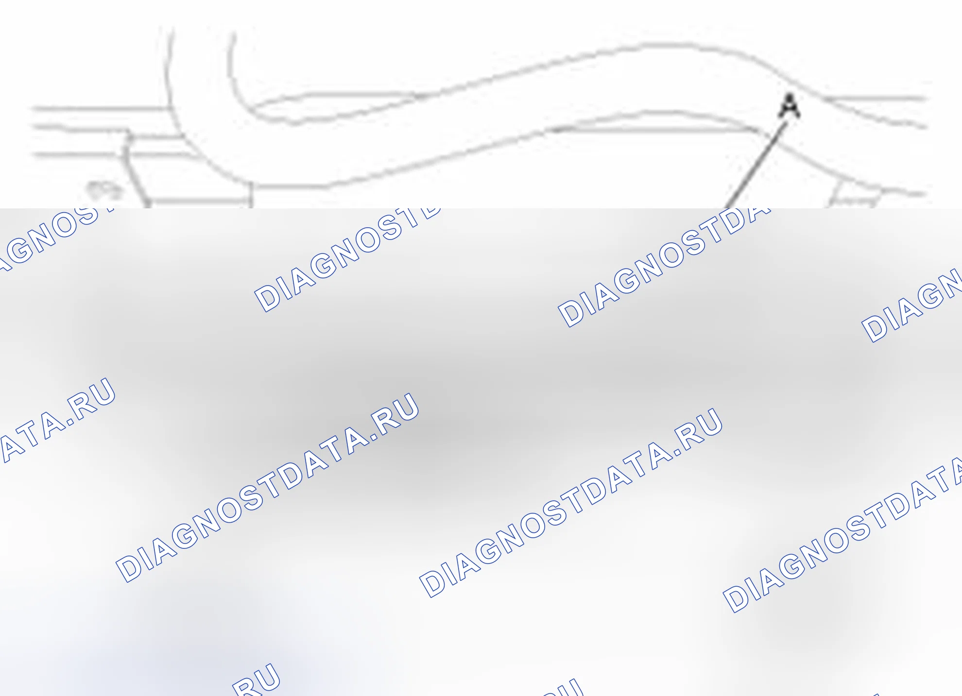 Рис. 2. Kia Sedona II рестайлинг