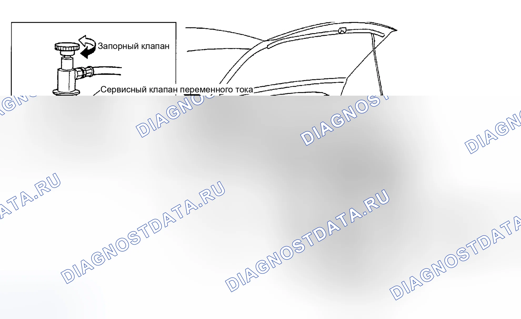 Рис. 244. Nissan Maxima A33