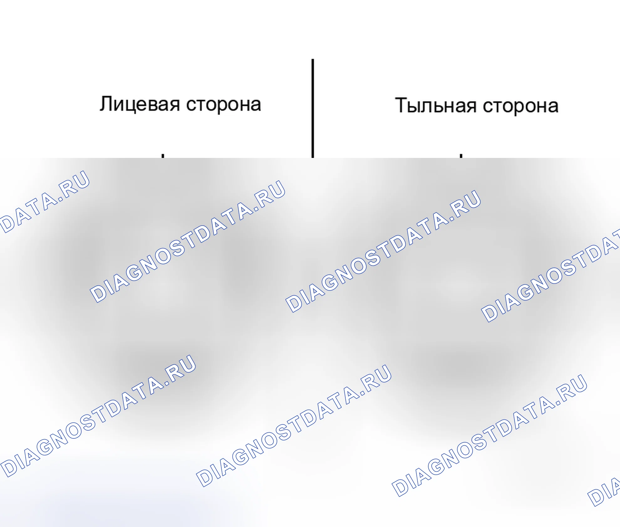 Рис. 333. Honda Street I