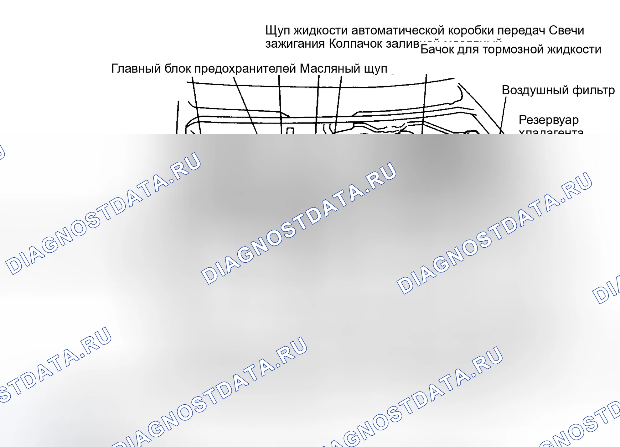 Рис. 6: РАСПОЛОЖЕНИЕ ТОЧЕК ОБСЛУЖИВАНИЯ. Mazda MPV V