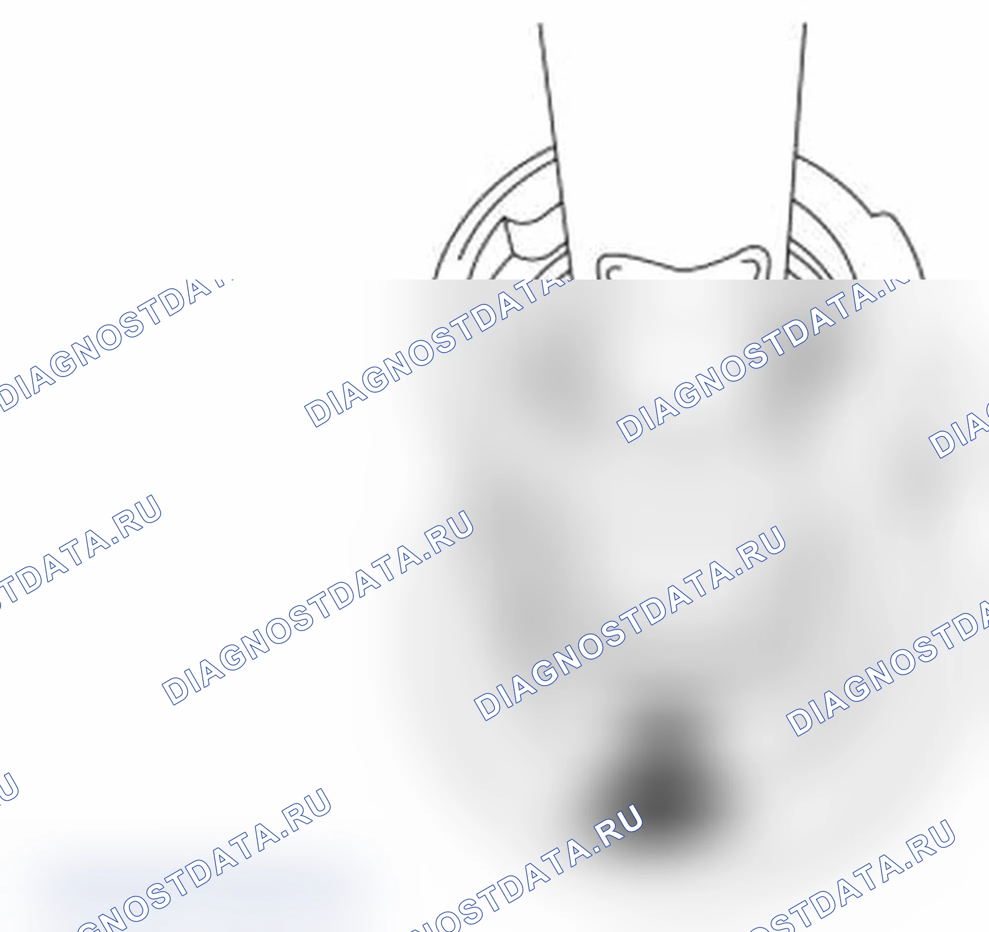Рис. 5. Ford Transit Connect I рестайлинг