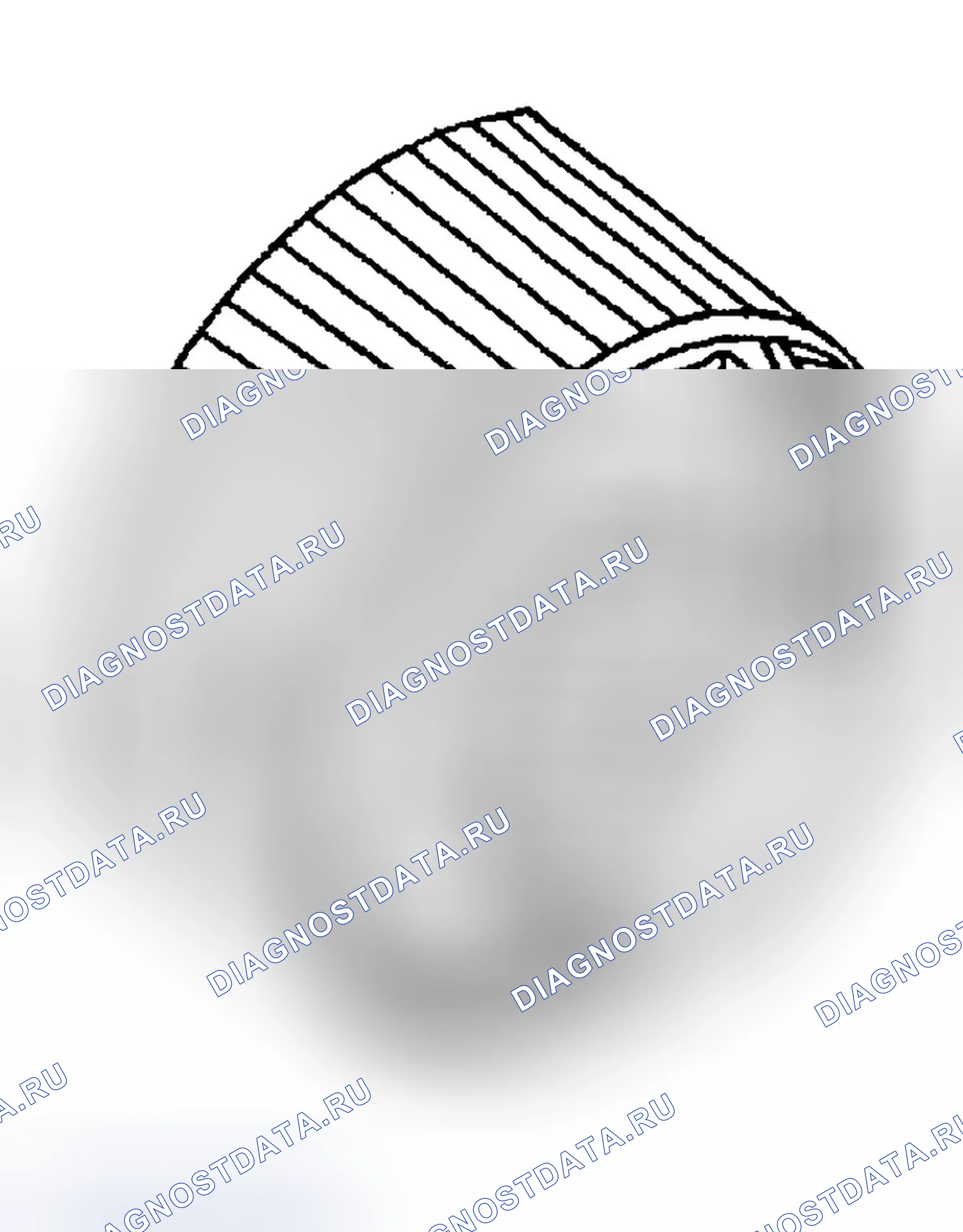 Рис. 394. Ford Explorer Sport Trac I