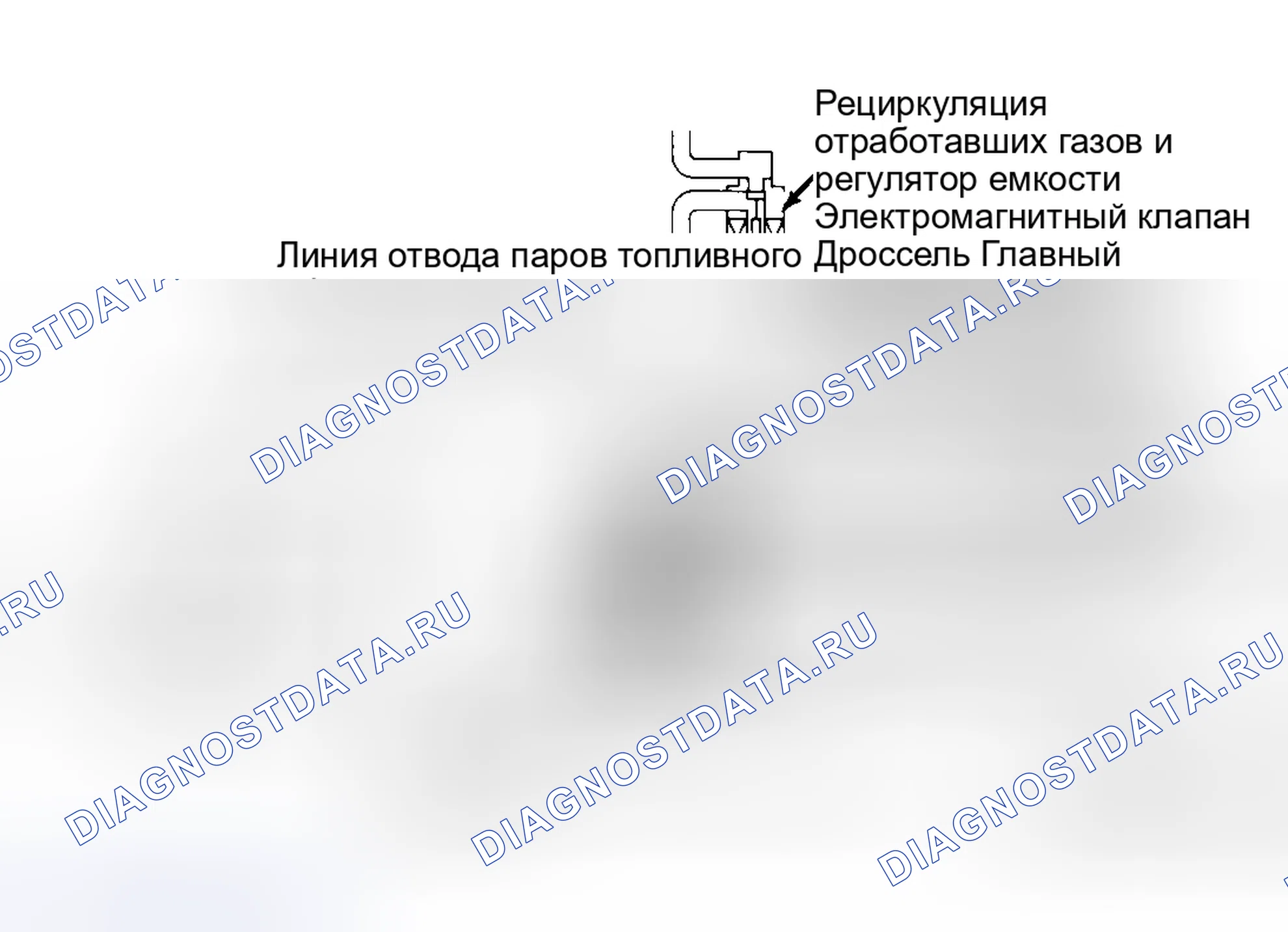 Рис. 9: УПРАВЛЕНИЕ ПРОДУВКОЙ КАНИСТРЫ (Nx, SENTRA и 240SX). Nissan Stanza III