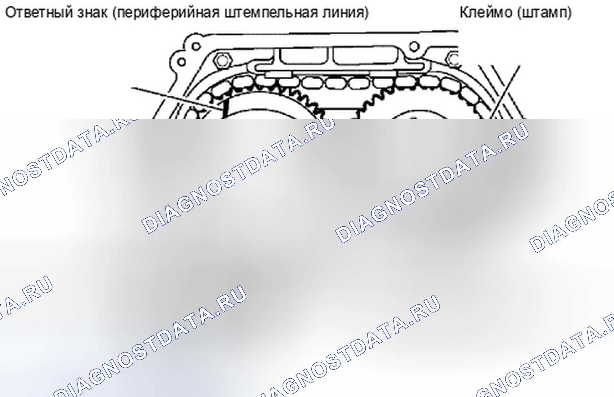 Рис. 75. Suzuki Equator I
