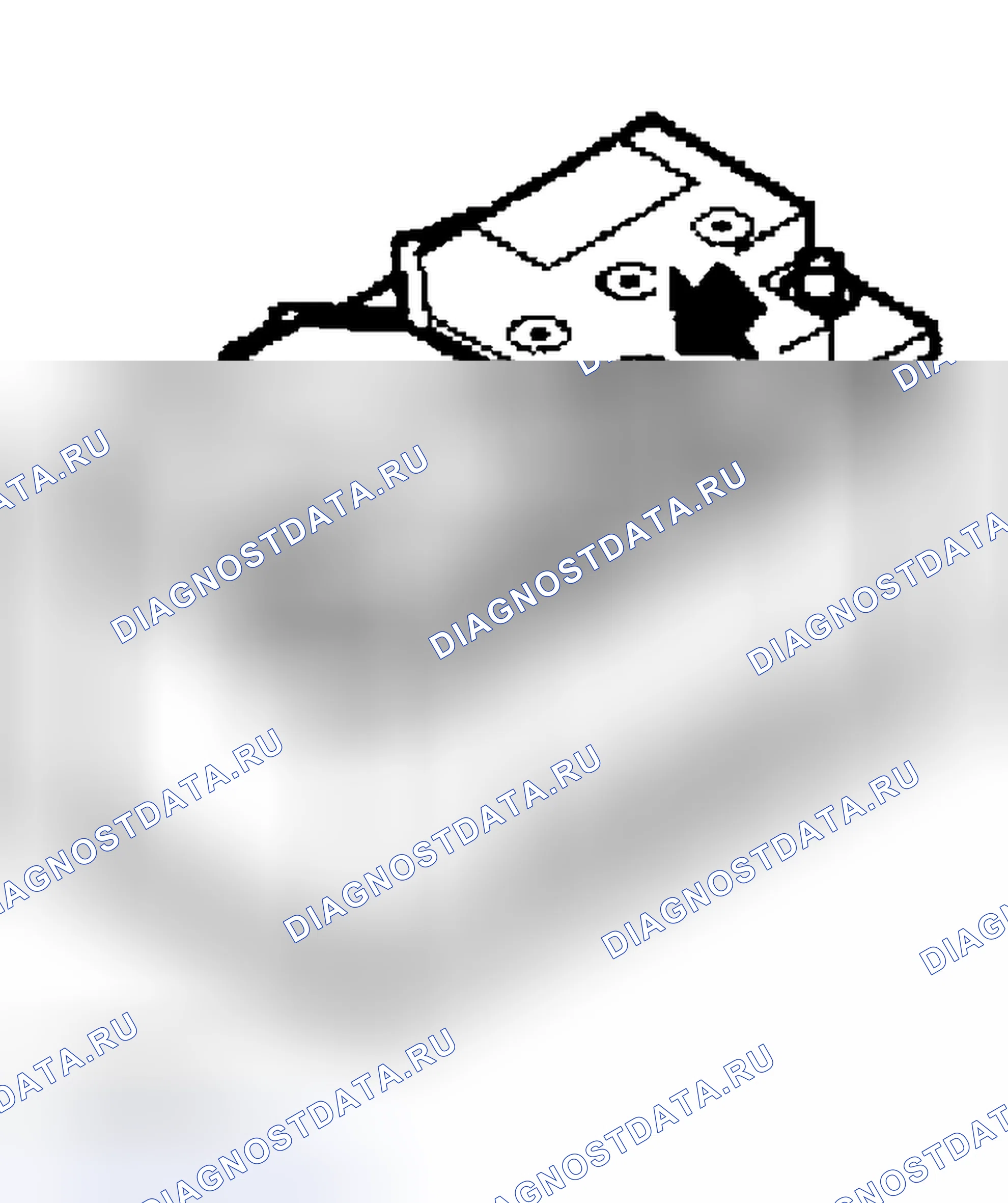 Рис. 15: Проверка процедур технического обслуживания. Land Rover Range Rover III