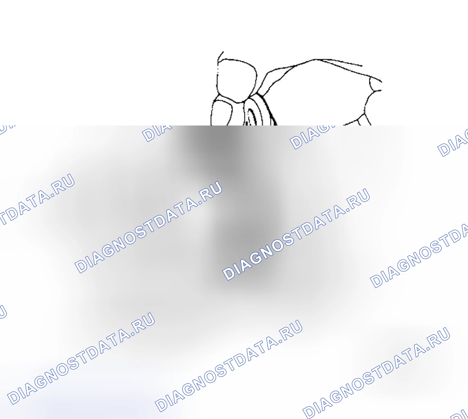 Рис. 8. Honda Jazz I