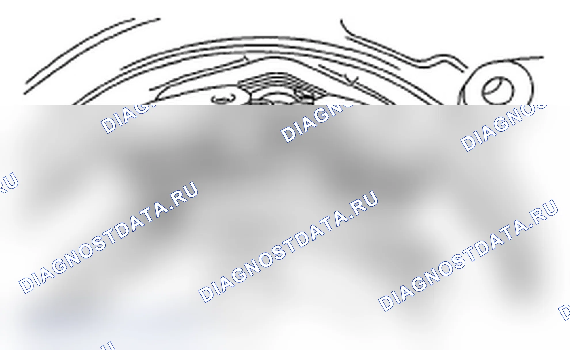 Рис. 29. Subaru Impreza WRX STI GR
