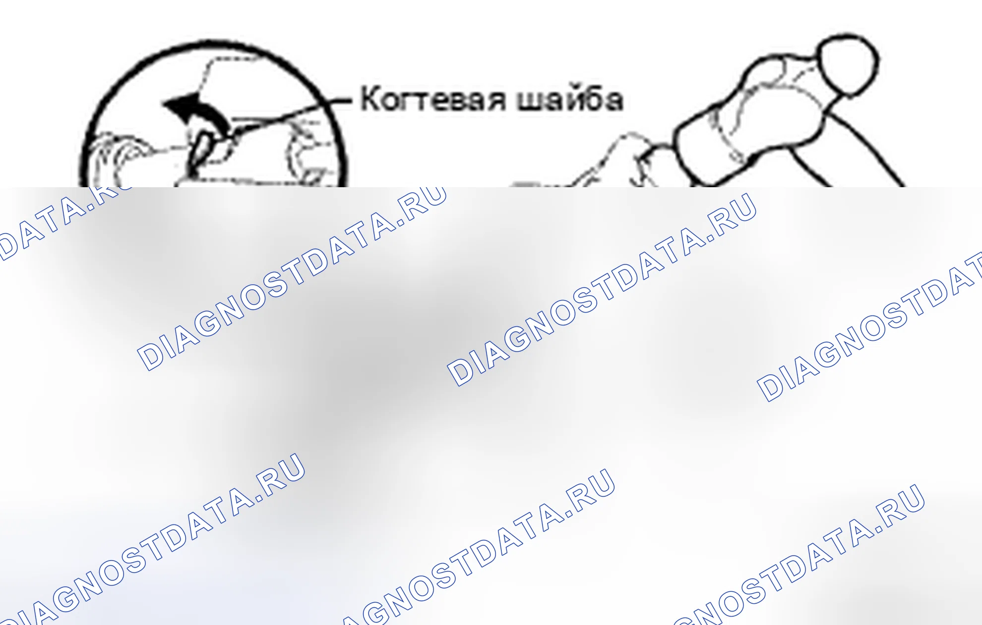 Рис. 29. Honda Accord IX