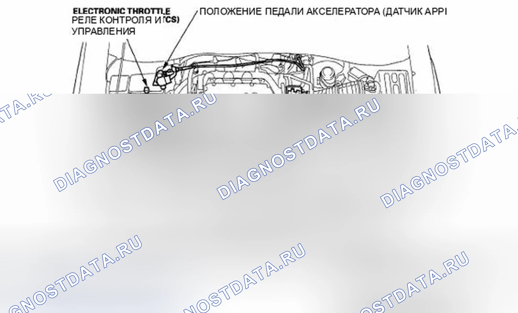 Рис. 297: Указатель расположения компонентов. Honda Ridgeline I рестайлинг
