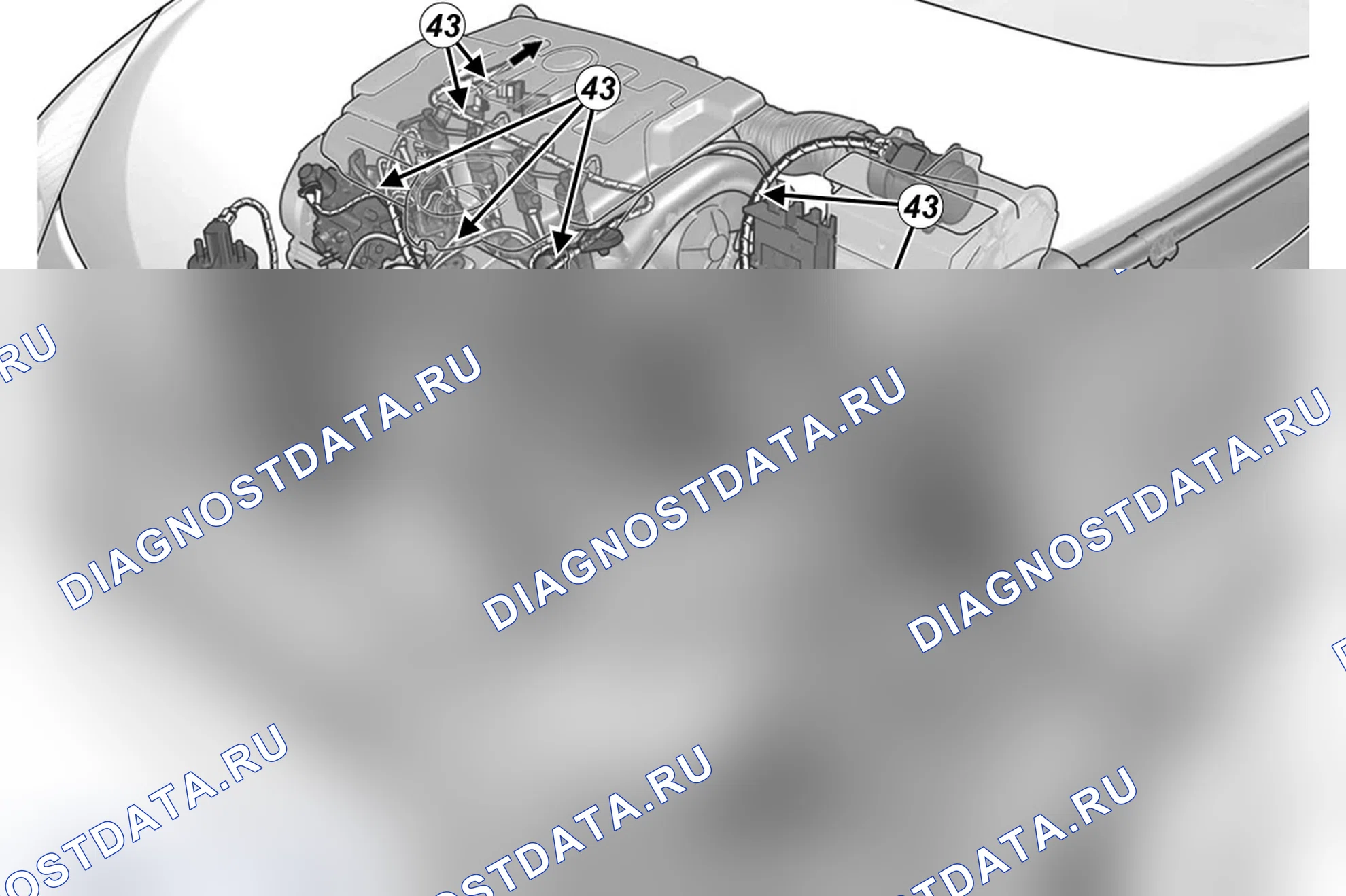 Как снять и установить жгут проводов двигателя — двигатель F9Q (1.9 dCi дизель). Renault Scenic III
