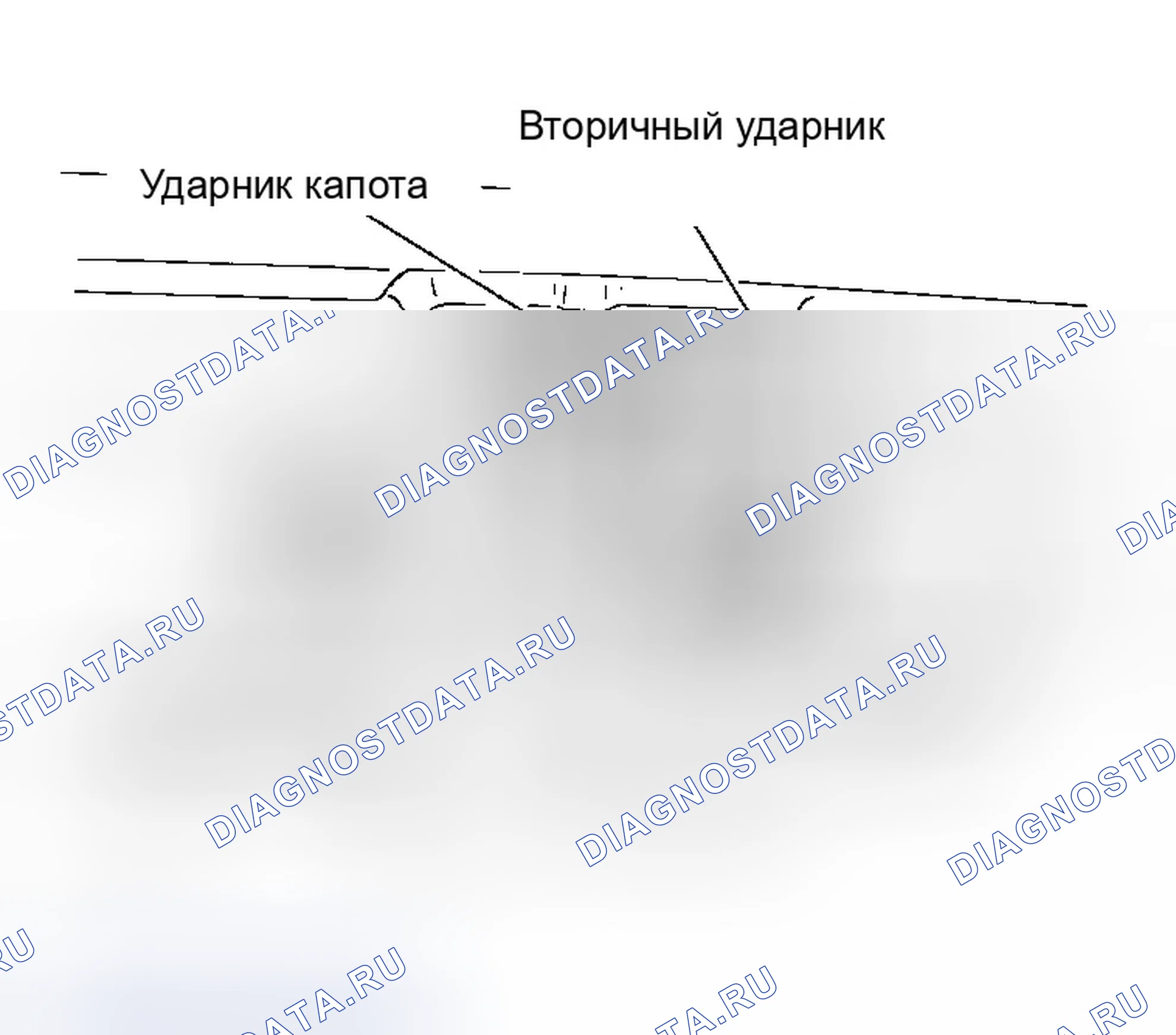 Рис. 224: РЕГУЛИРОВКА ВЫСОТЫ ПОВЕРХНОСТИ. Infiniti G35 III