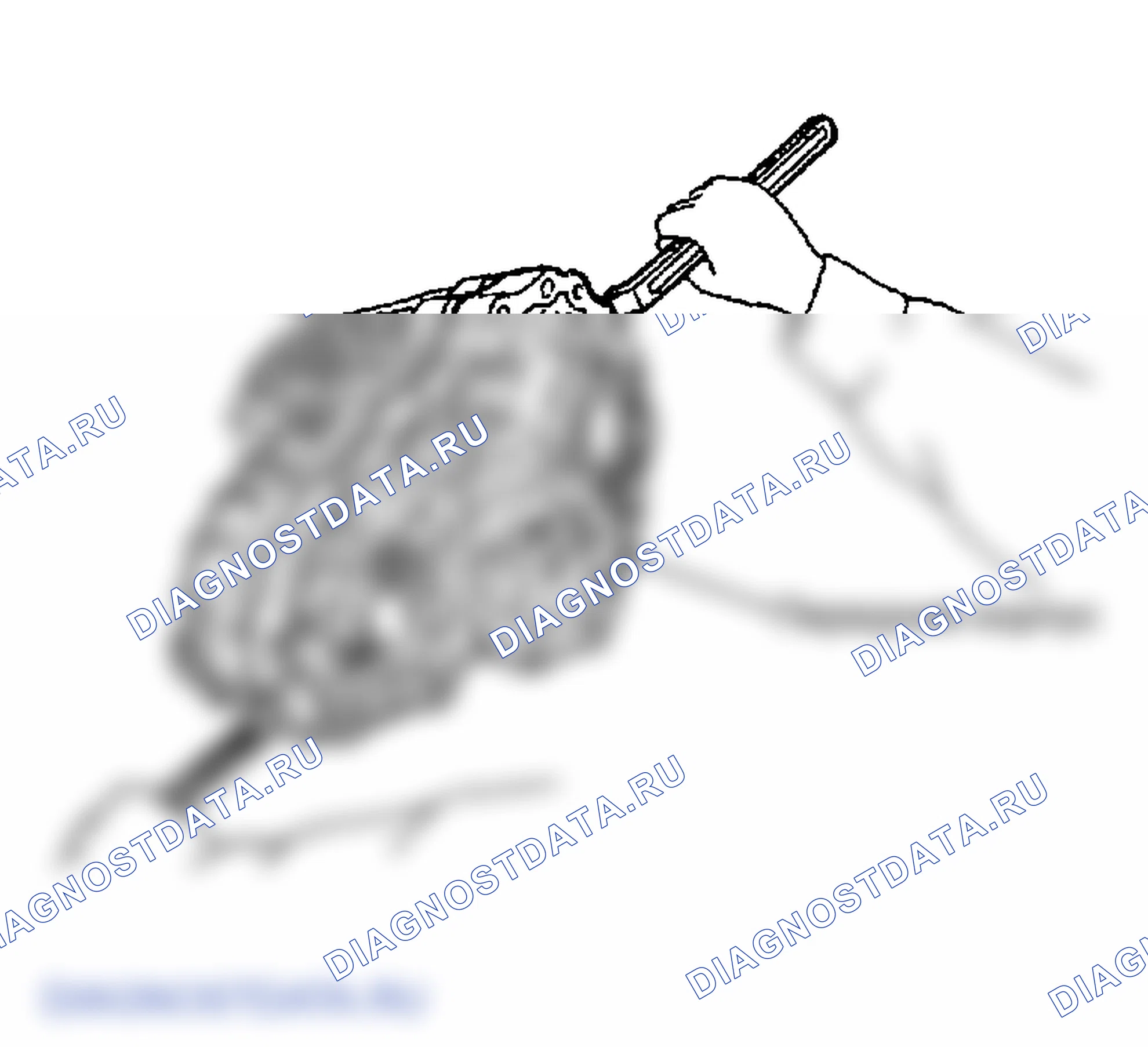 Рис. 37. Infiniti FX45 I