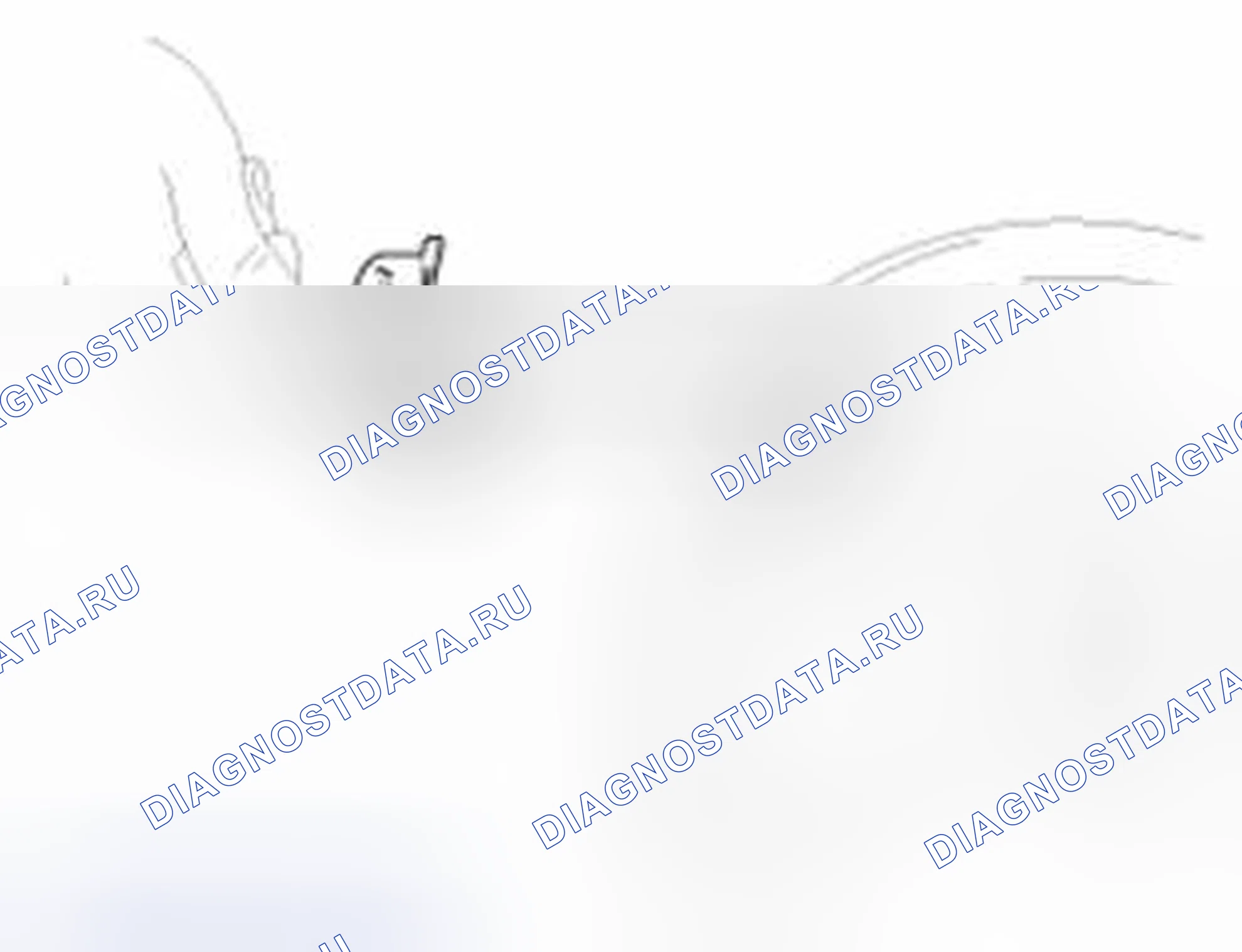 Рис. 47. Haval Beast (Shenshou) I