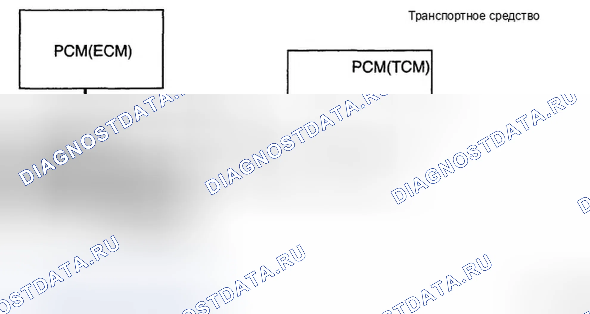 Рис. 104: ВАРИАНТНОЕ КОДИРОВАНИЕ. Hyundai Elantra IV